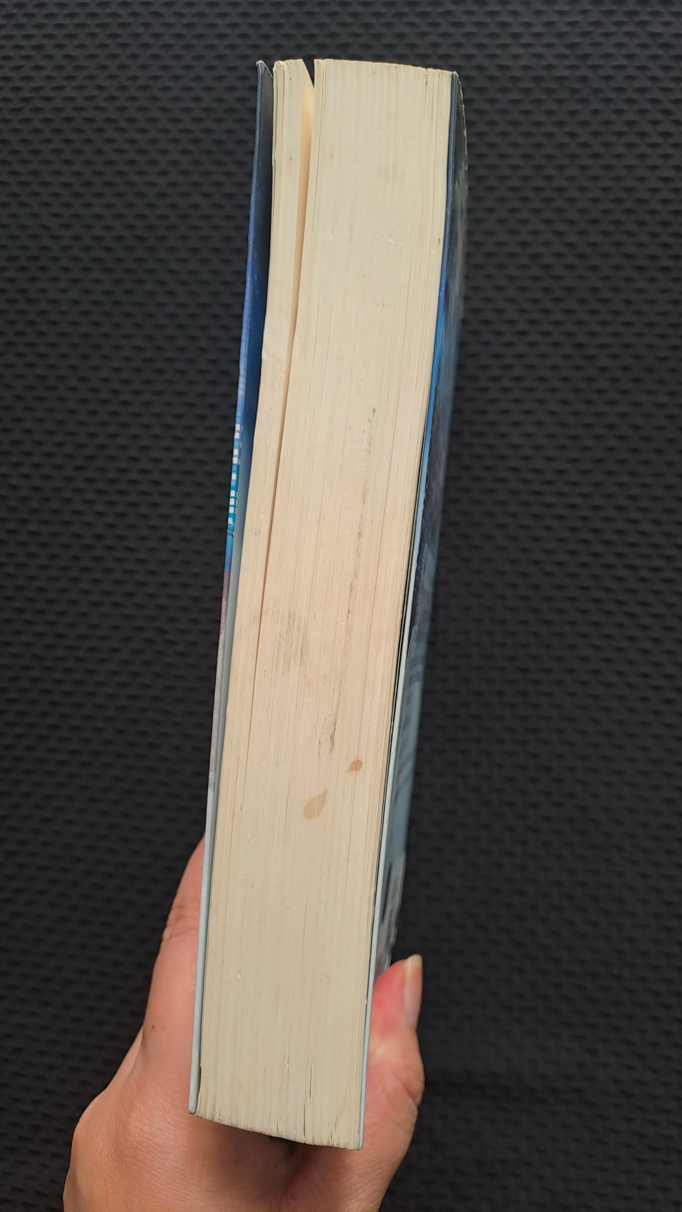 Sự cám dỗ cuối cùng - Diệp Lạc Vô Tâm 1004526