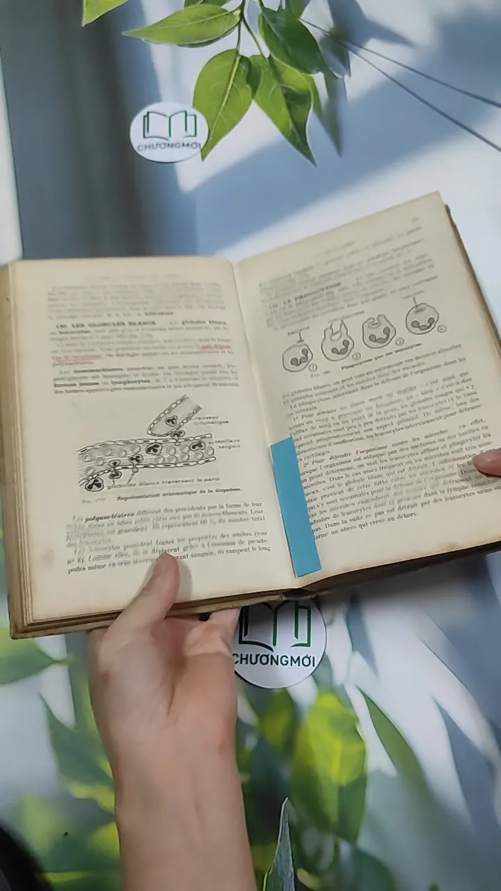 [MIỄN PHÍ BỌC SÁCH] Sciences Naturelles - Collectif 750826