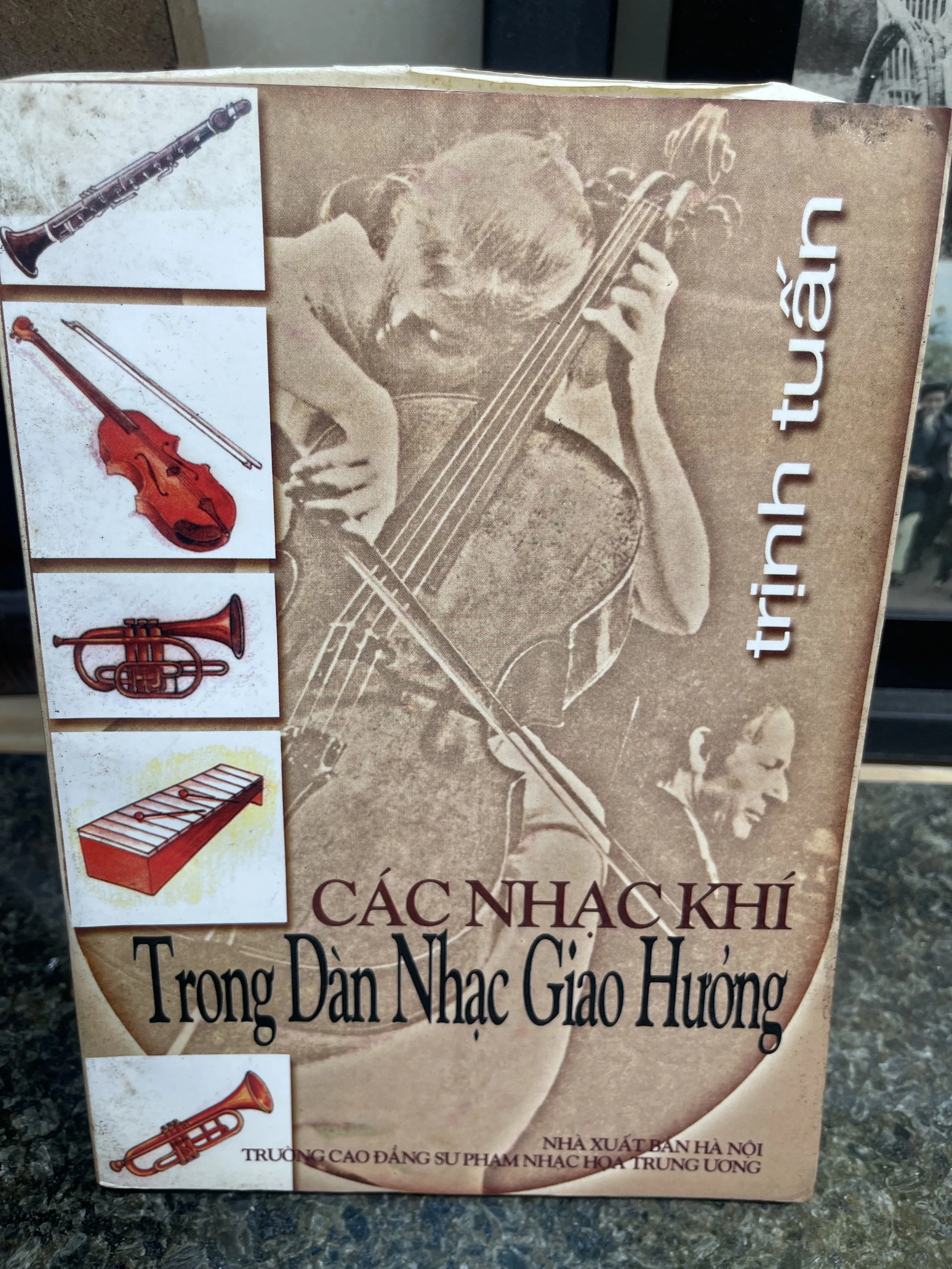 Các nhạc khí trong dàn nhạc giao hưởng Trịnh Tuấn