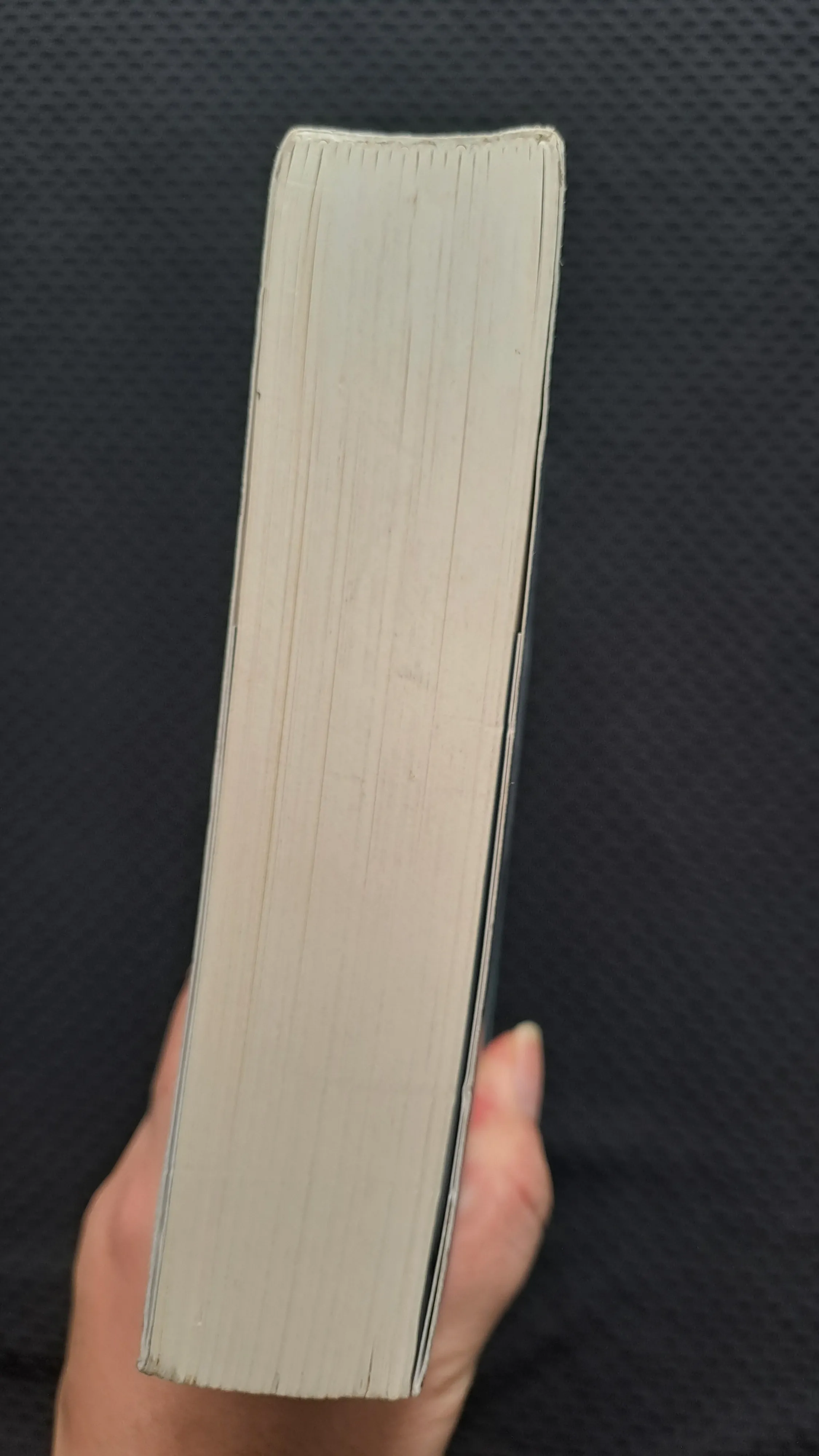 Sự cám dỗ cuối cùng - Diệp Lạc Vô Tâm 1004526