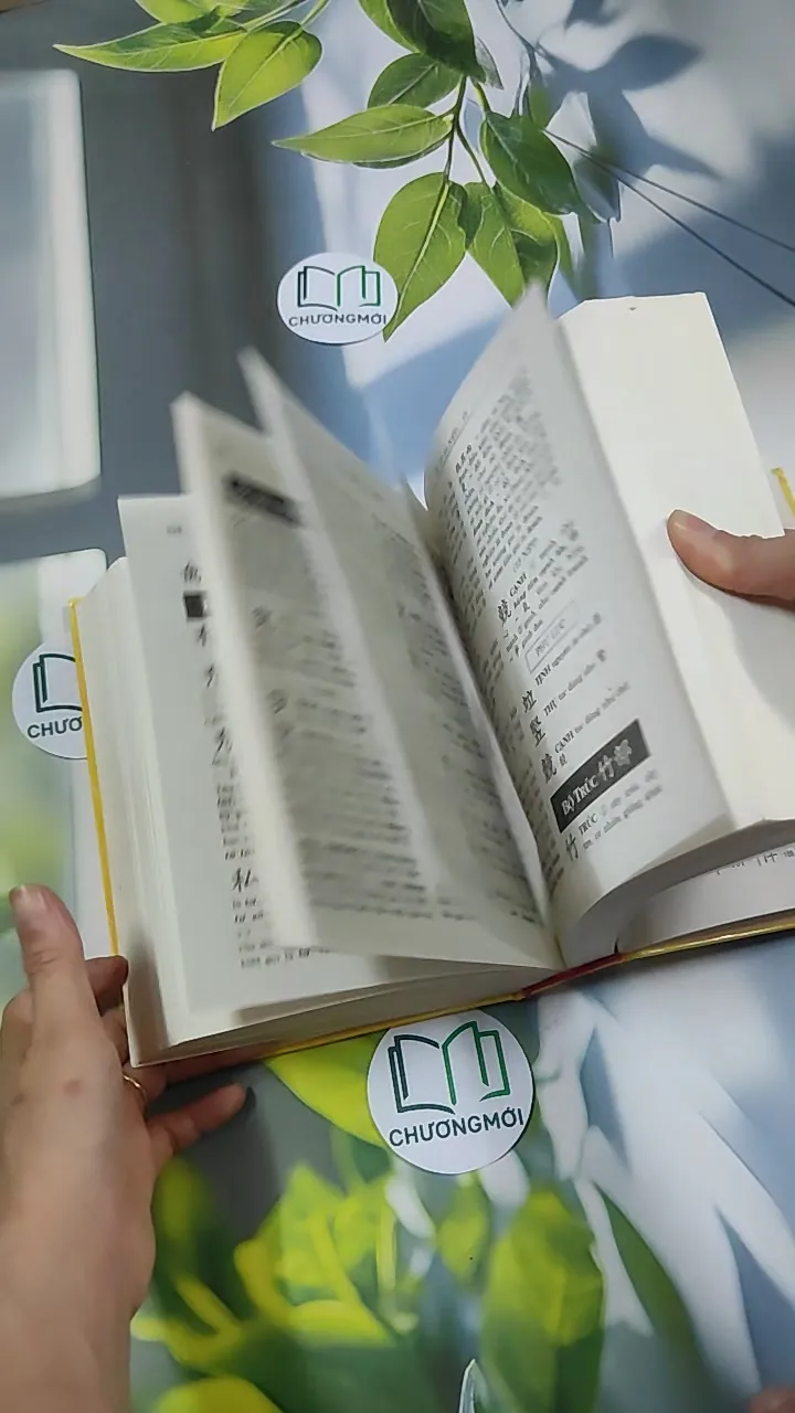 [MIỄN PHÍ BỌC SÁCH] Hán Việt Tự Điển - Thiều Chửu 750810