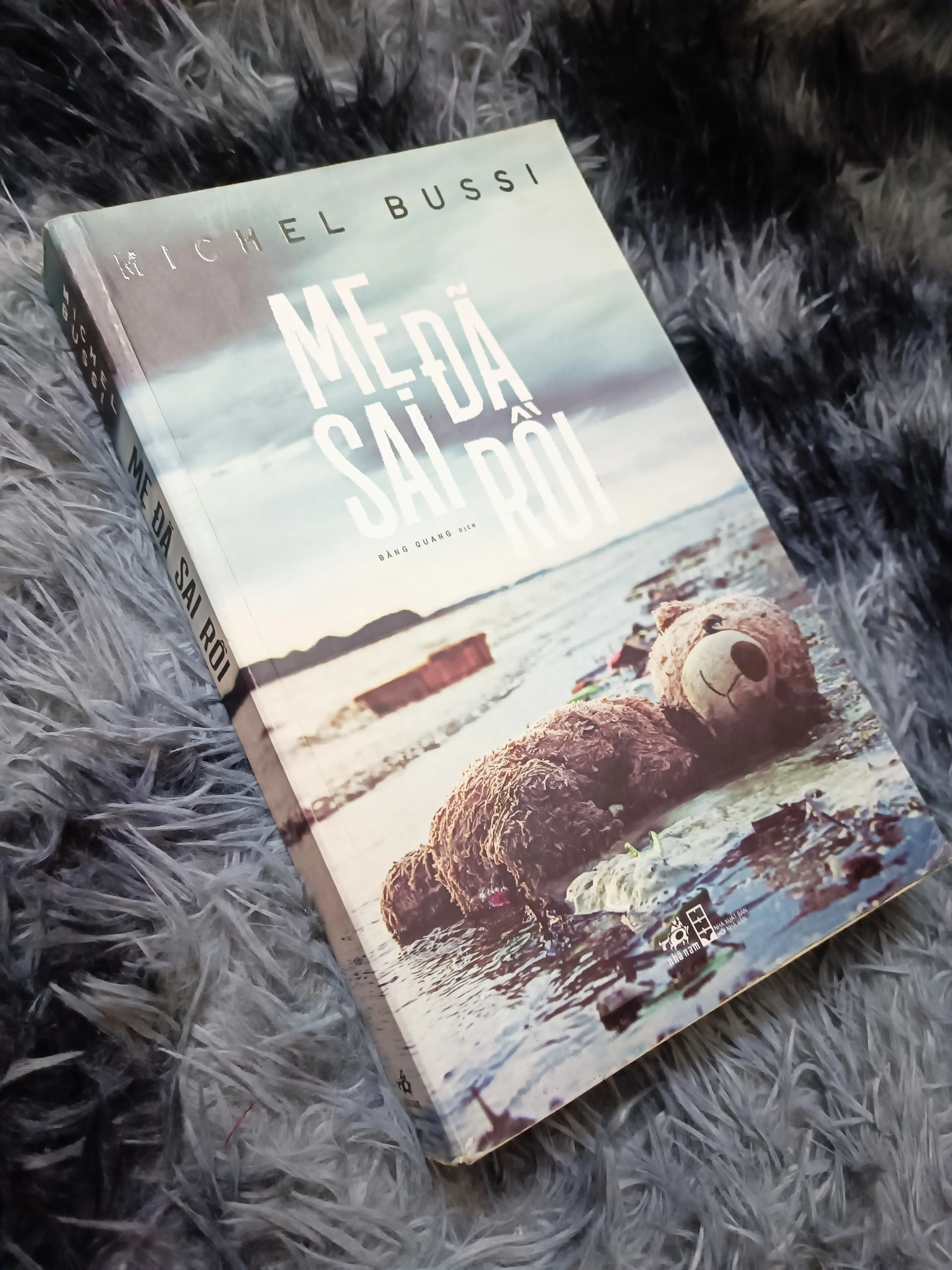 Mẹ đã sai rồi (Michel Bussi)