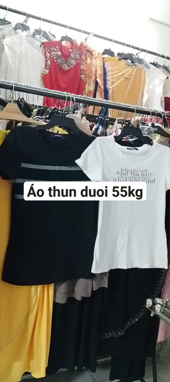 Combo 02 áo thun nữ chỉ 20k