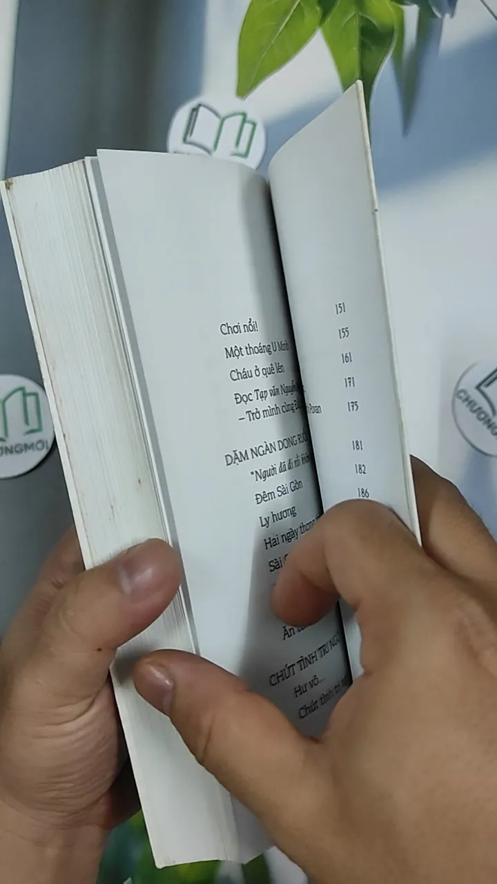 Xao Xuyến Đường Hoa - Lê Phúc Cường 798492