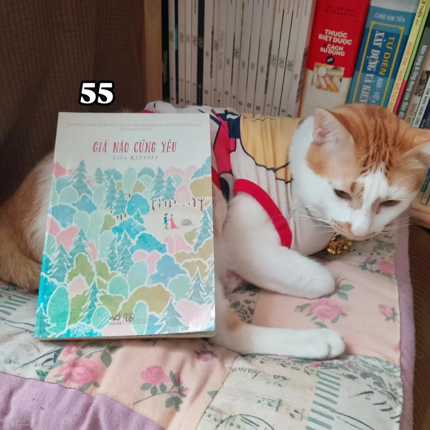 Giá nào cũng yêu - Lisa Kleypas