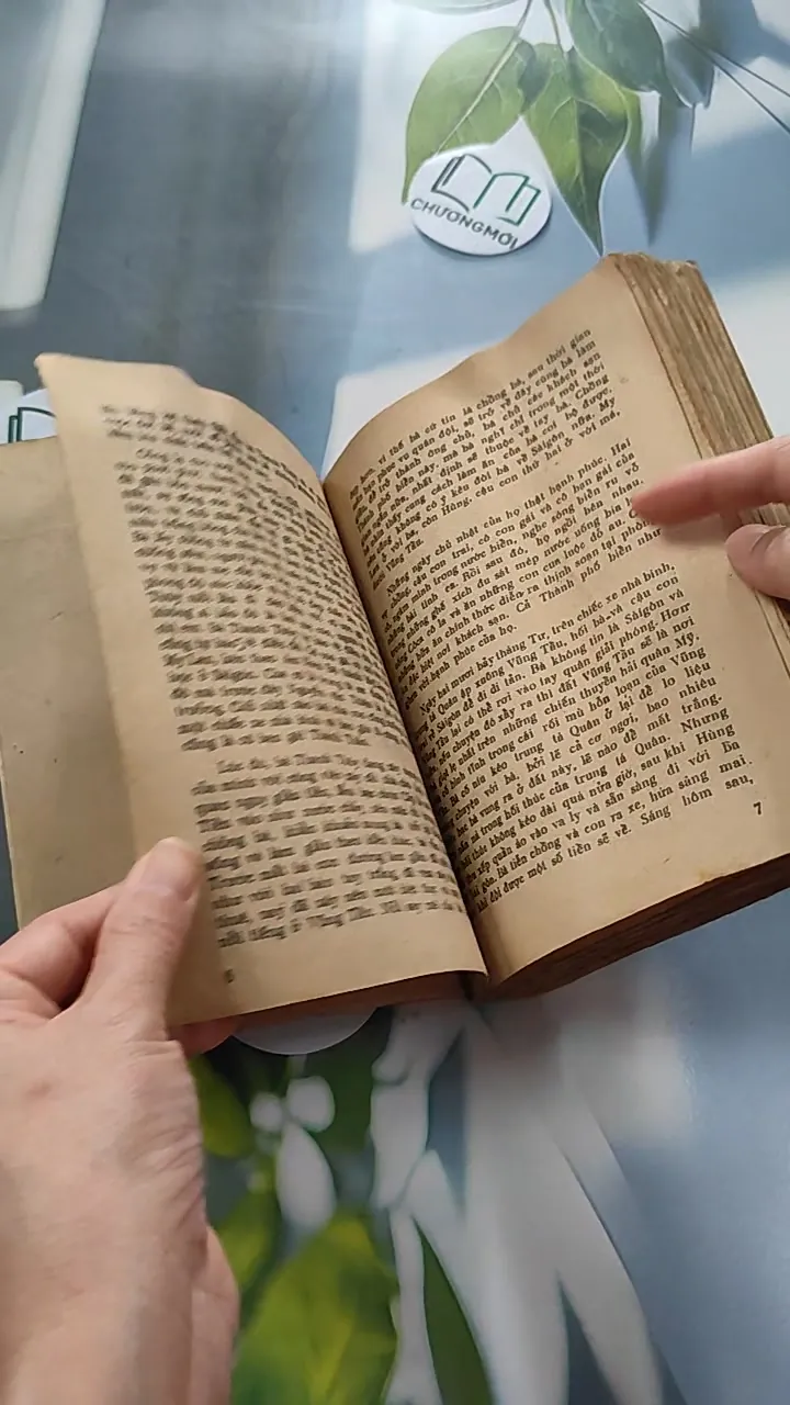 [XƯA] Tình Biển (1987) - Nguyễn Nguyên Bảy 776055