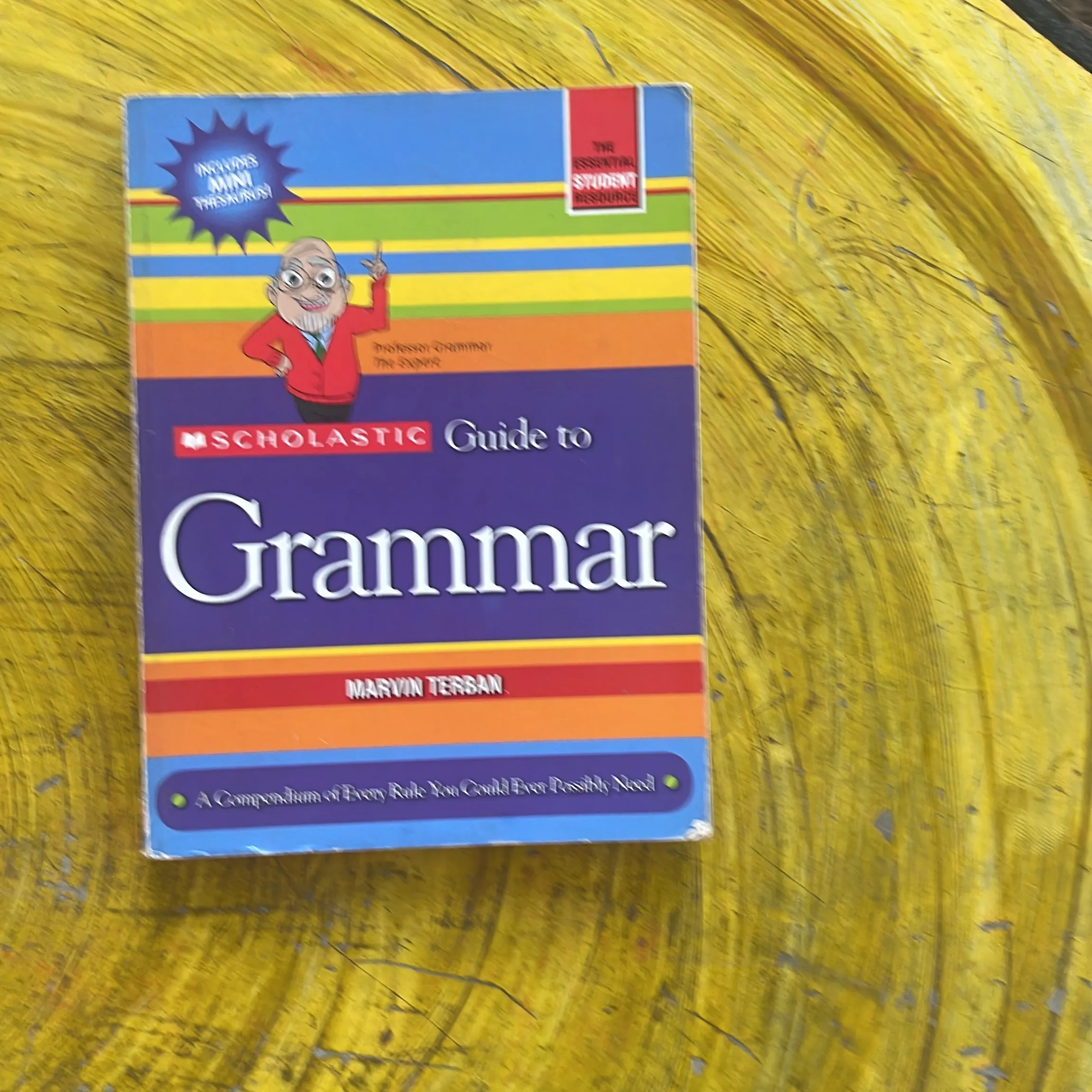 SCHLASTIC GUIDE TO GRAMMAR- MARVIN TERBAN