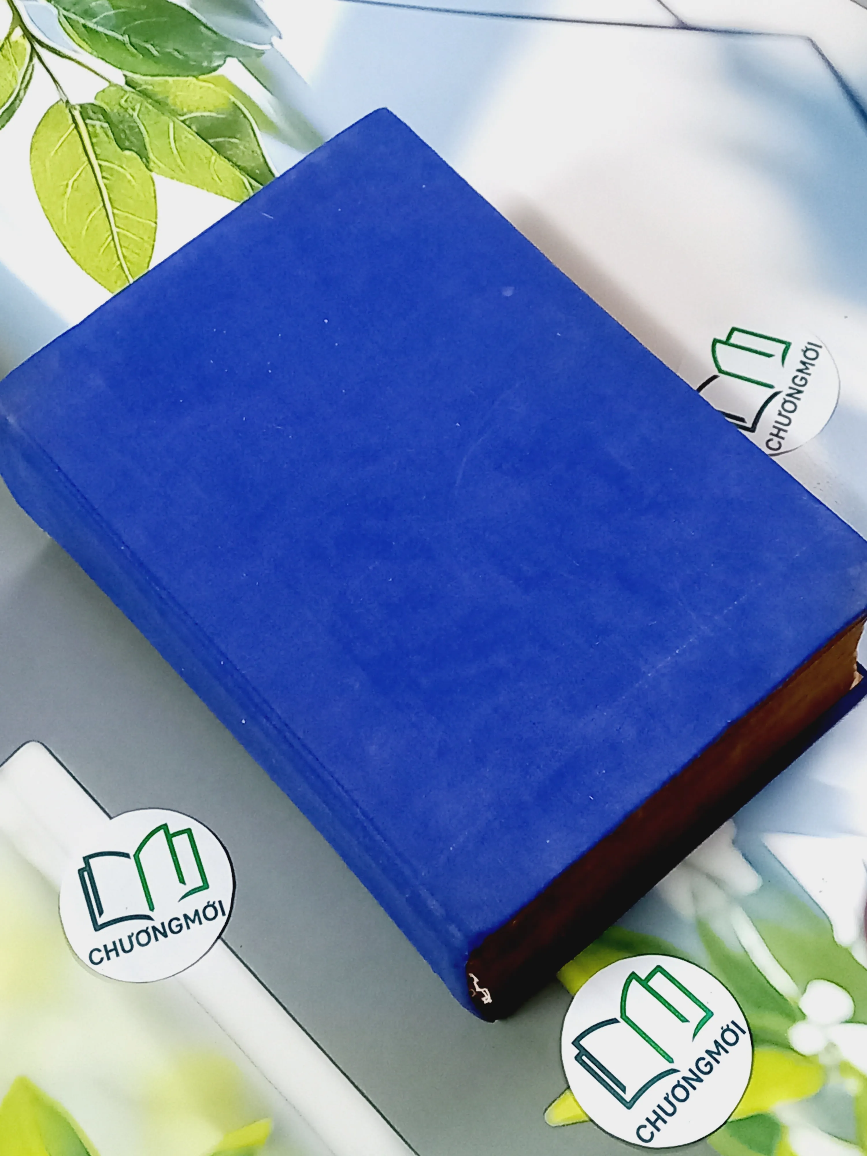 [MIỄN PHÍ BỌC SÁCH] Từ Điển Anh - Việt - Viện Ngôn Ngữ