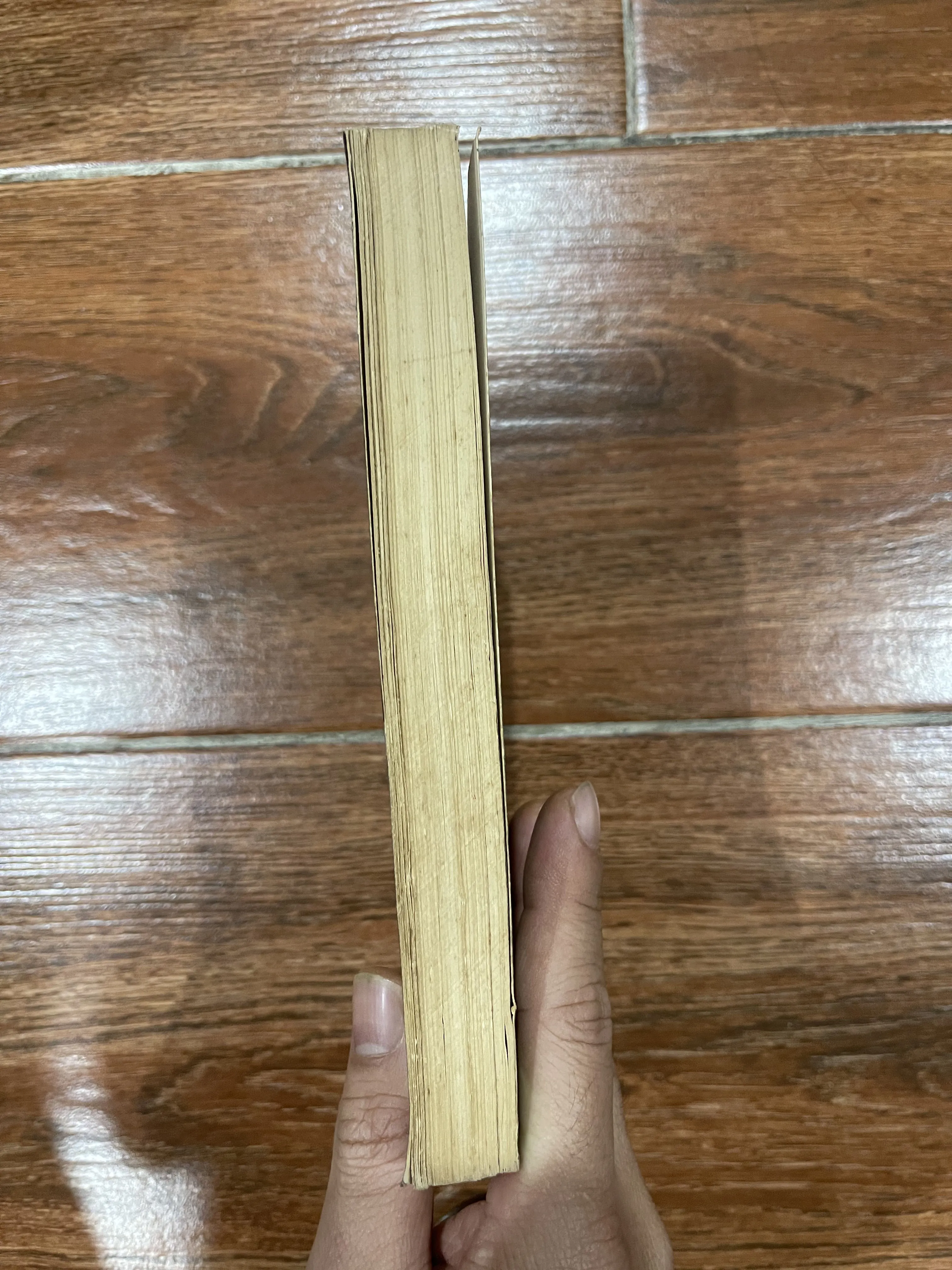 Dự Đoán Theo Tứ Trụ - Thiệu Vĩ Hoa  (6) 719207