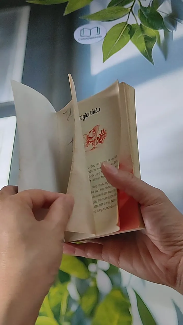 Tư duy cá mập, suy nghĩ cá vàng - John Gordon 607747