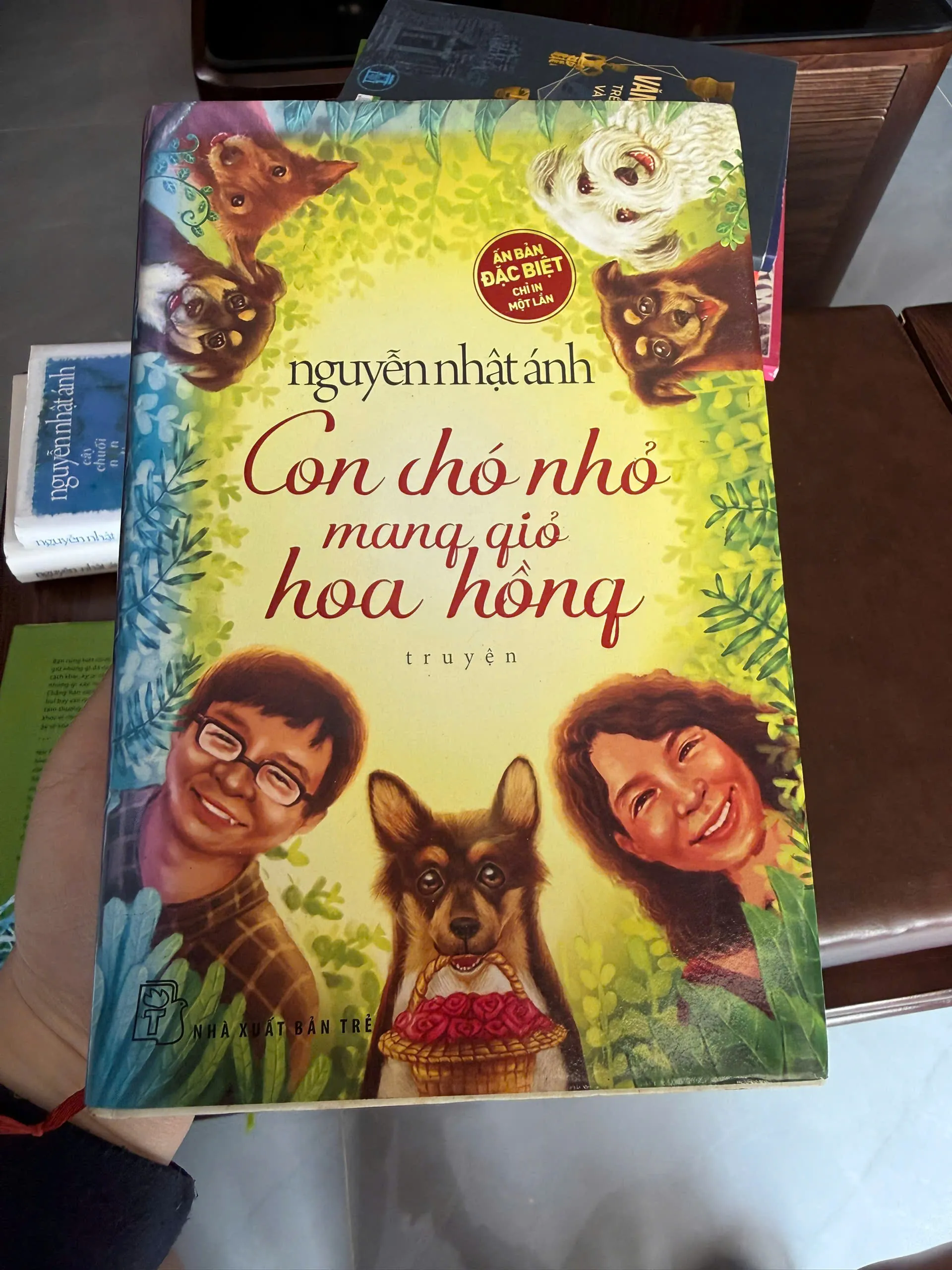 CON CHÓ NHỎ MANG GIỎ HOA HỒNG – NGUYỄN NHẬT ÁNH- K3