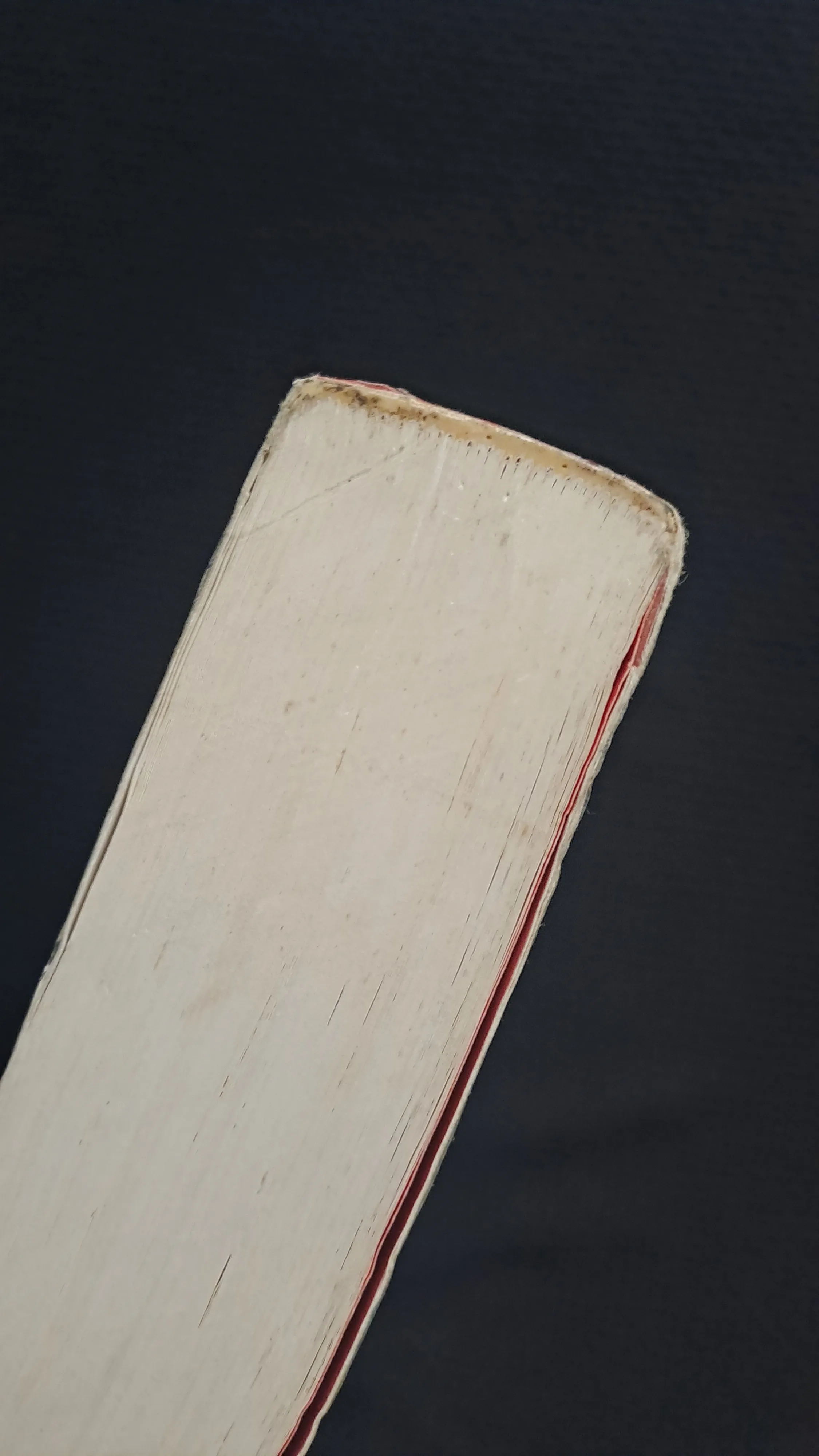 Nếu ốc sên có tình yêu - Đinh Mặc  972247