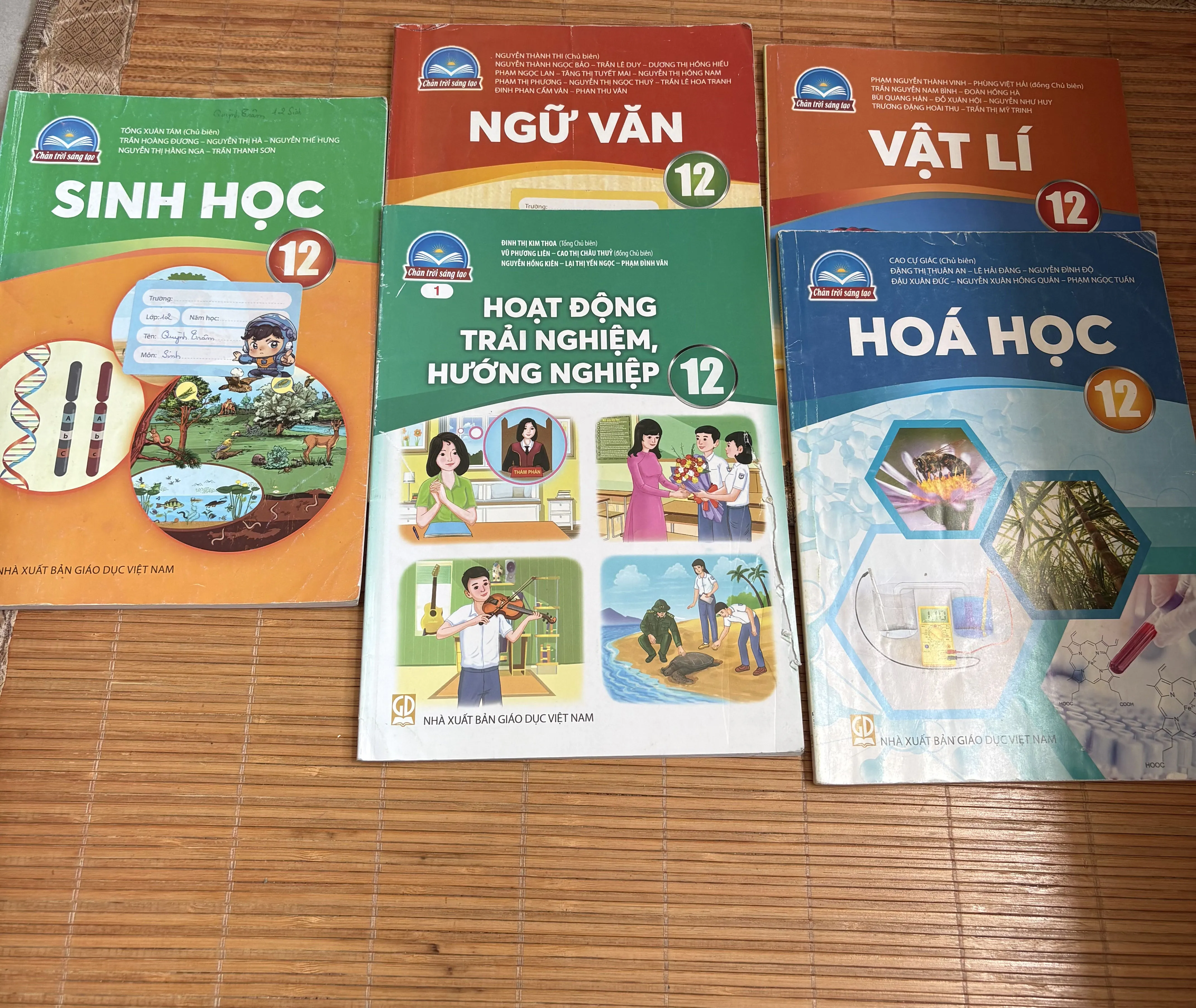 Sách Ngữ Văn Vâtj Lý hướng nghiệp hóa học sinh học 12 ( chân trời sáng tạo)