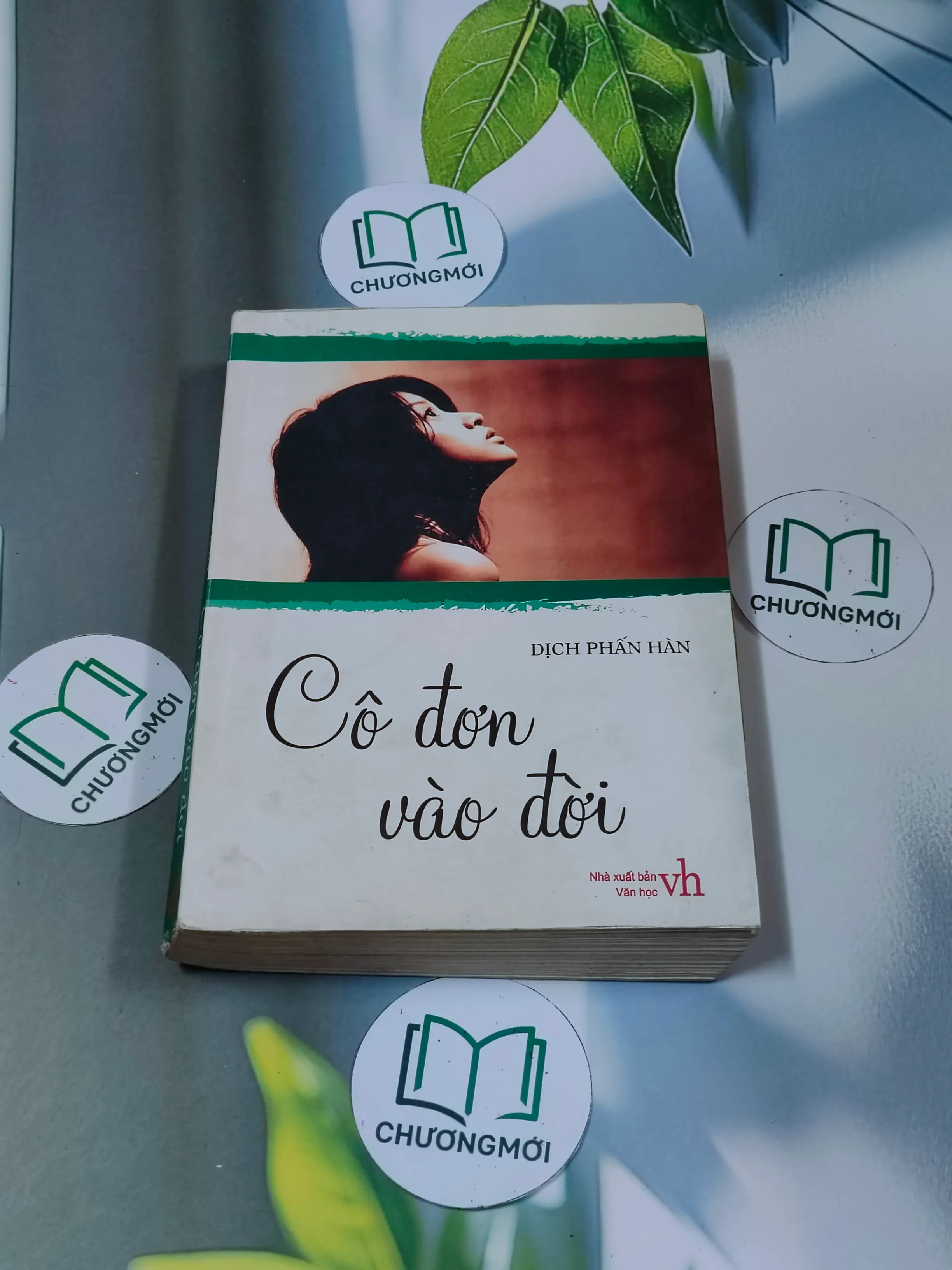 Cô đơn vào đời - Dịch Phấn Hàn