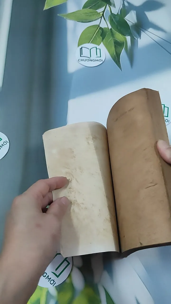 [MIỄN PHÍ BỌC SÁCH] [XƯA] Tìm Về Dân Tộc (1990) - Lý Chánh Trung 776027