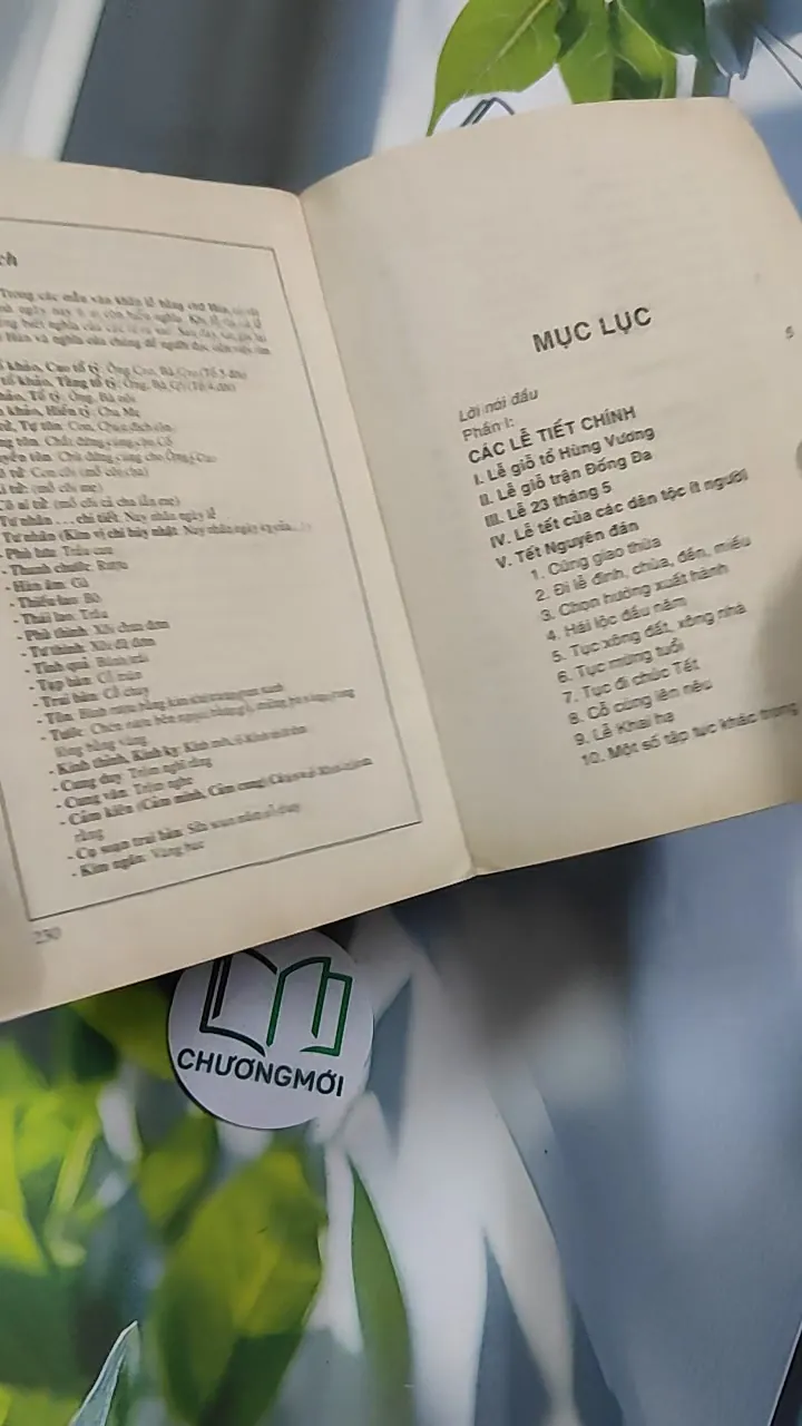 [XƯA] Phong Tục Việt Nam (Quan - Hôn - Tang - Tế) (1999) - Trương Đình Tín 776158