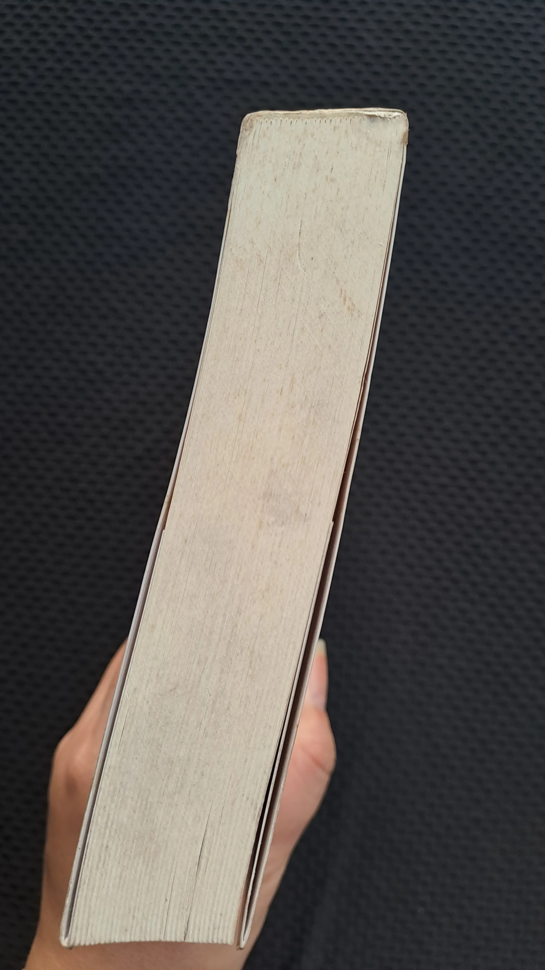 Cá voi và hồ nước - Thái Trí Hằng 973211