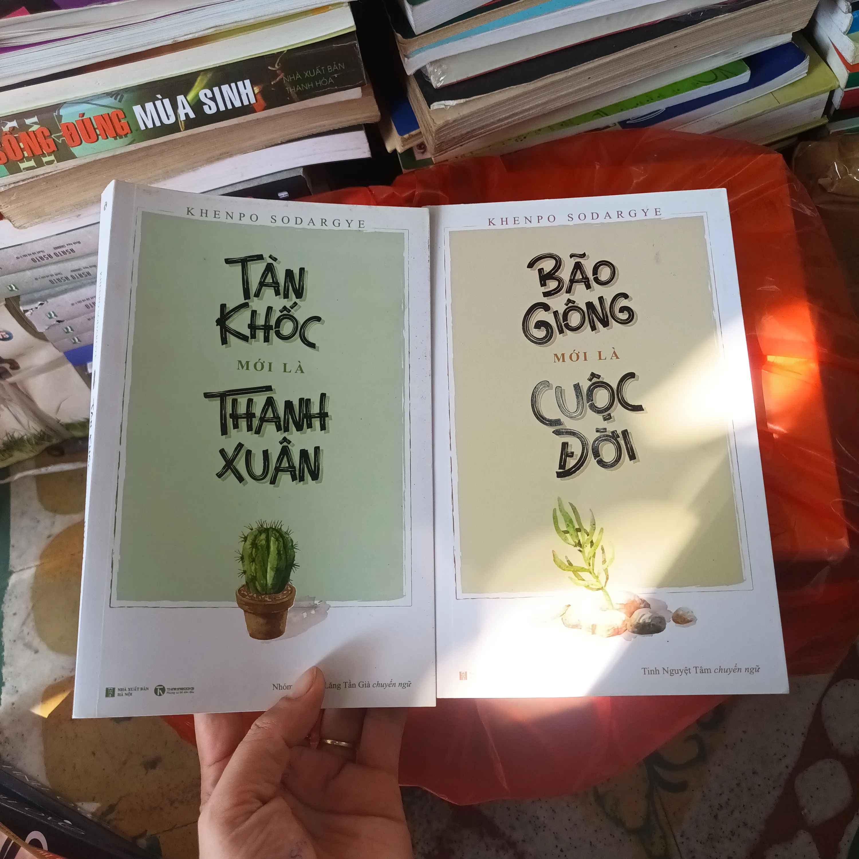 Combo 2c Tàn Khốc Mới Là Thanh Xuân Và Bão Giông Mới Là Cuộc Đời