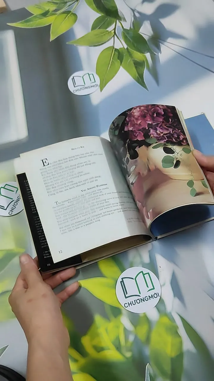 Ý Hoa ( Song Ngữ) - Hồ Anh Thái 750833