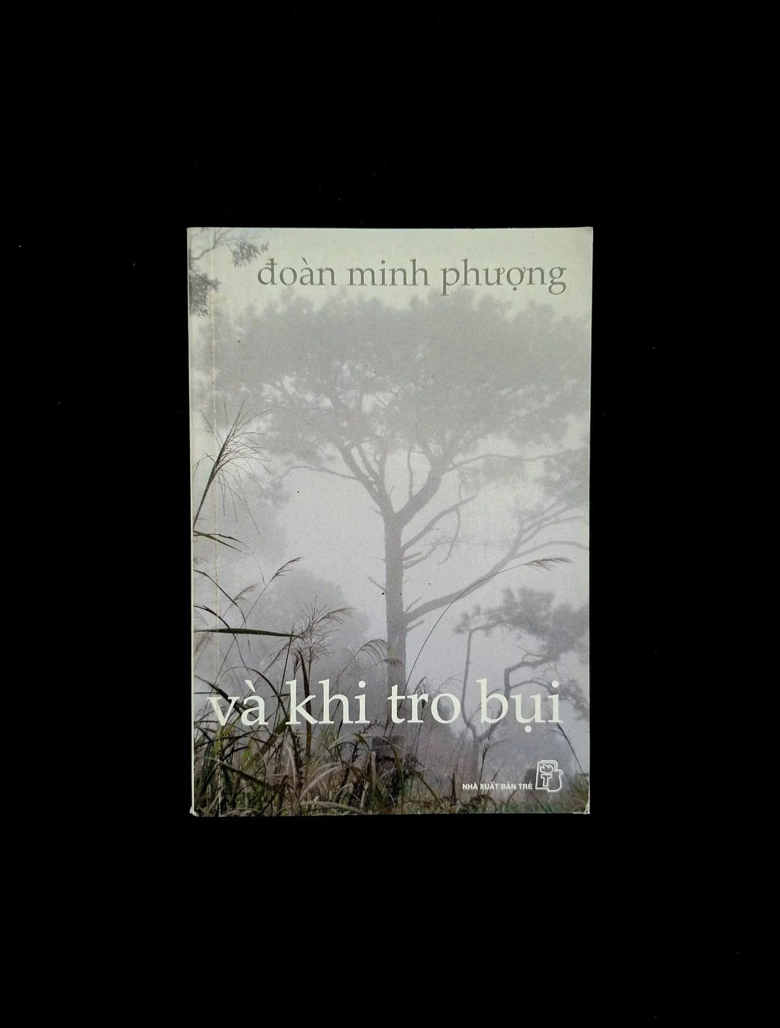 Và Khi Tro Bụi - Đoàn Minh Phượng (bản in đầu)