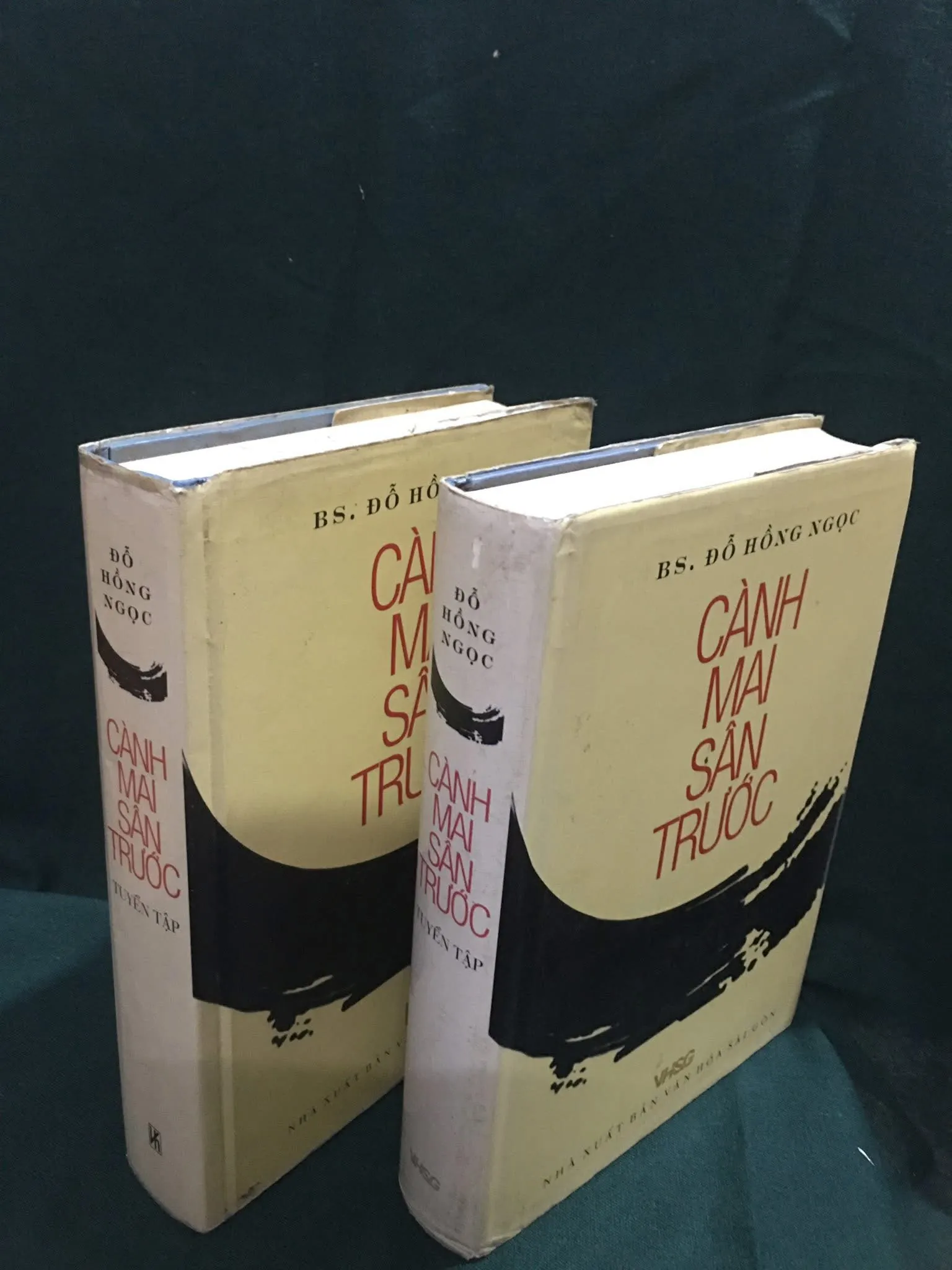 Cành mai sân trước