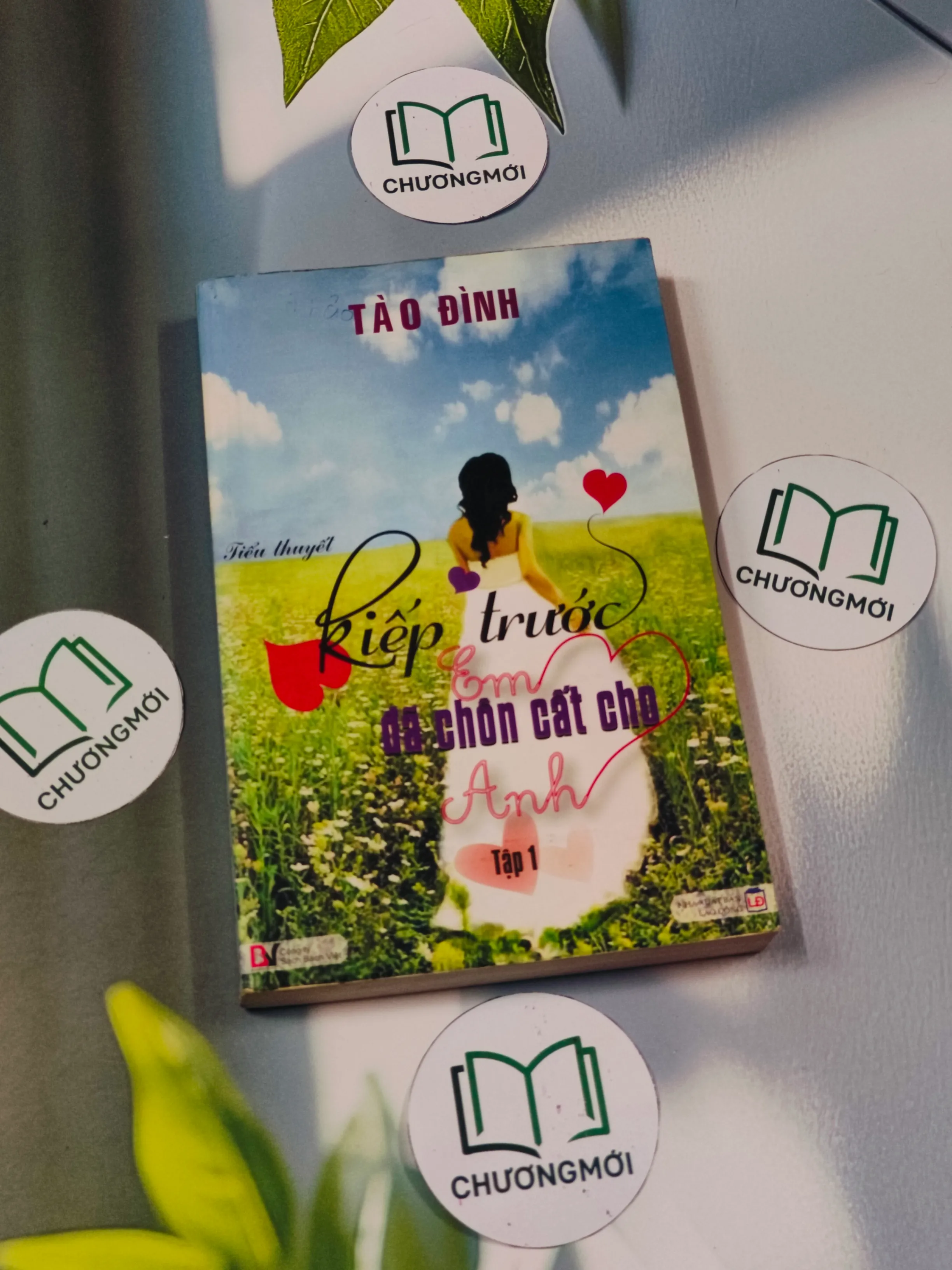 Kiếp trước em đã chôn cất cho anh (Tập 1) - Tào Đình