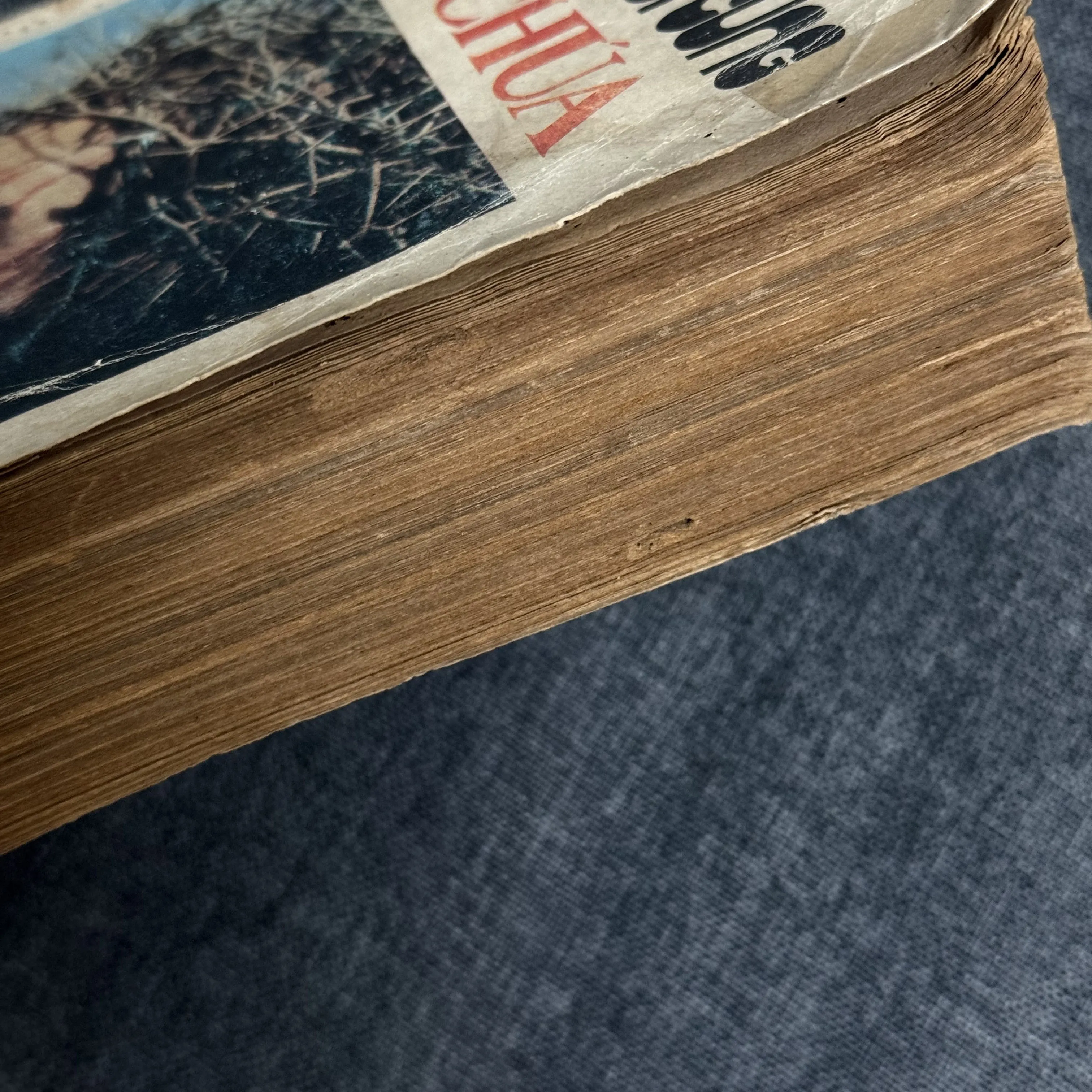 Cám dỗ cuối cùng của Chúa - Nikos Kazantzakis 1009711