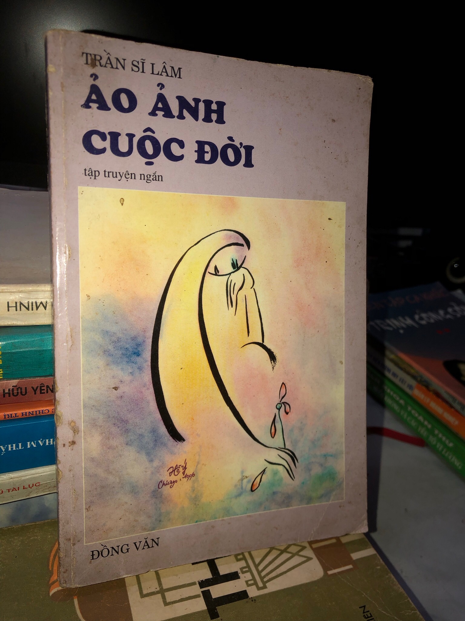 Ảo ảnh cuộc đời - Trần Sĩ Lâm 