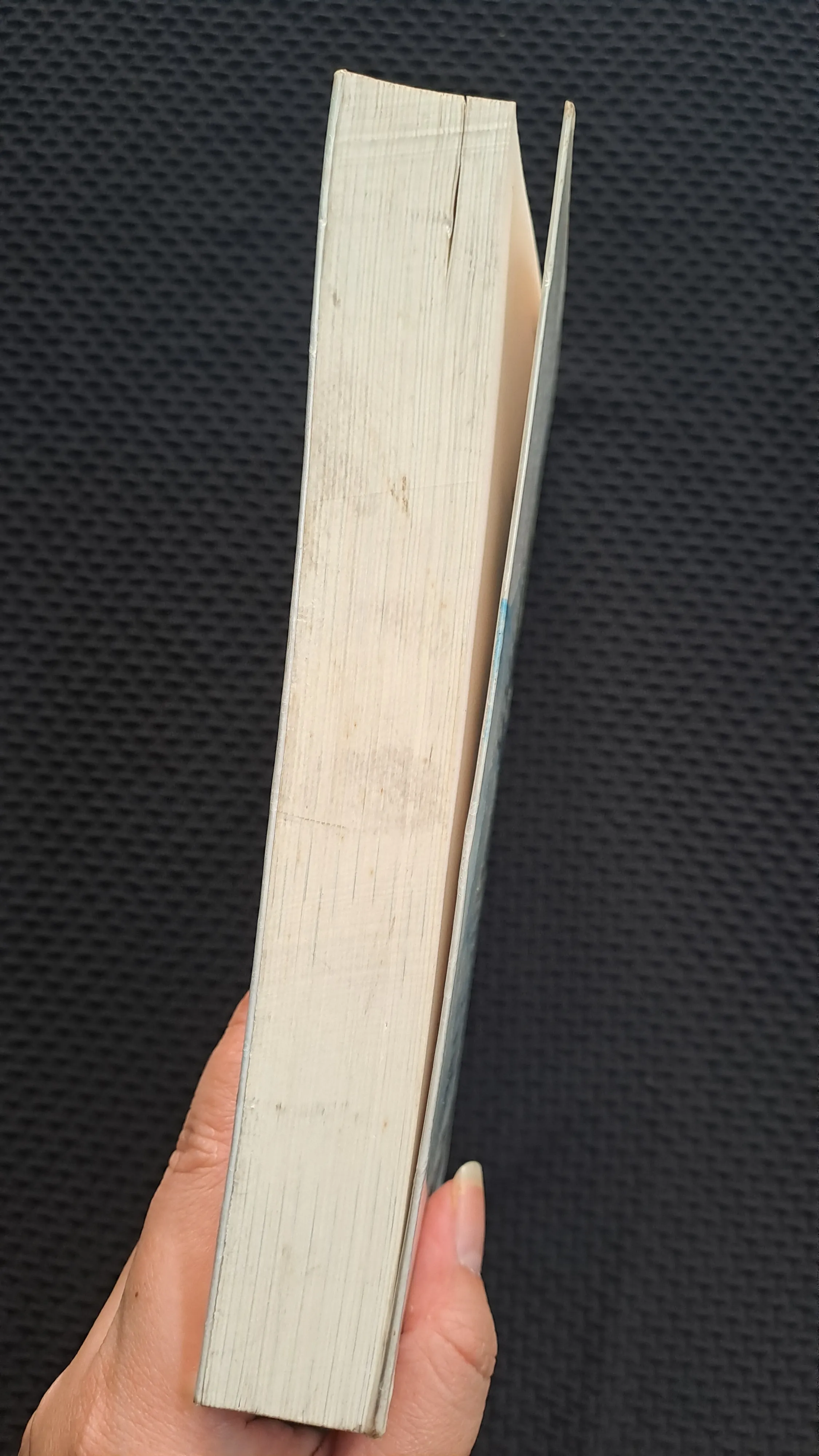 Cá voi và hồ nước - Thái Trí Hằng 973211