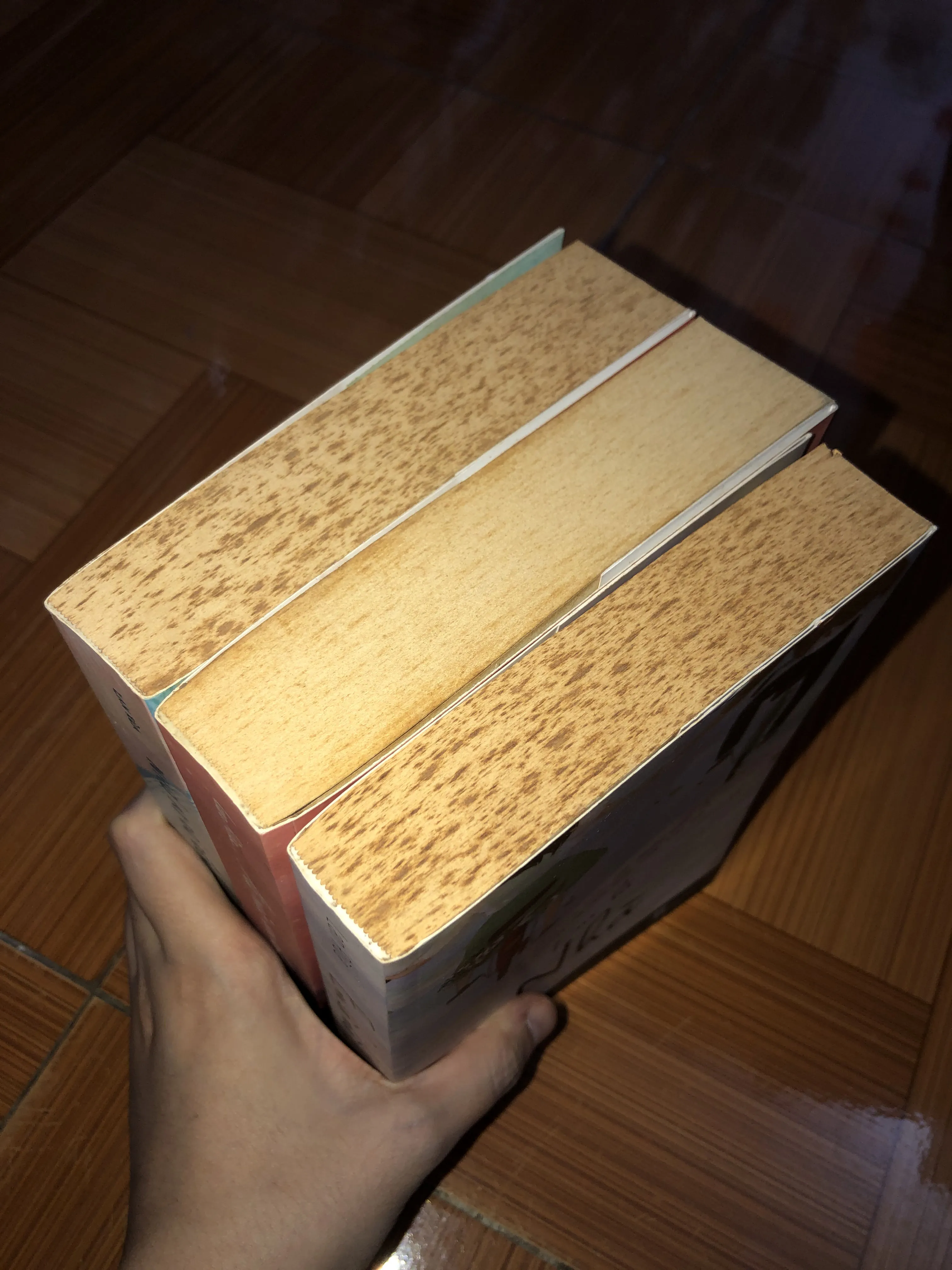 Combo 3 sách Lan Rùa 707744