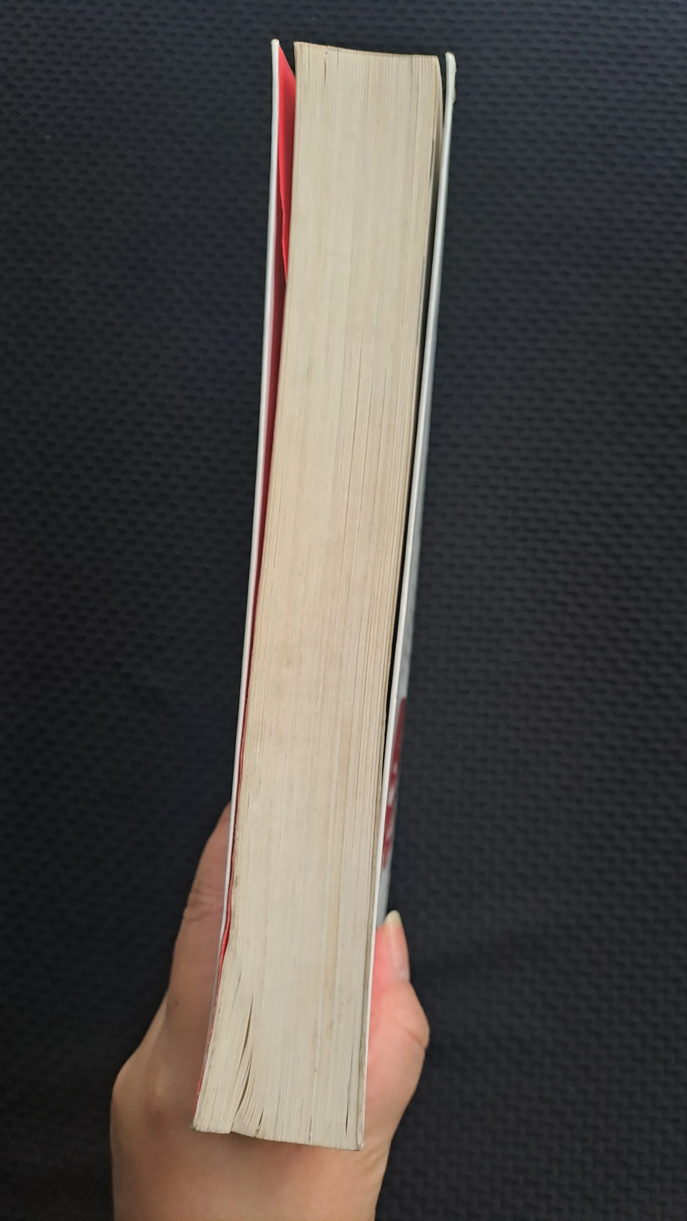 Nếu ốc sên có tình yêu - Đinh Mặc  972247