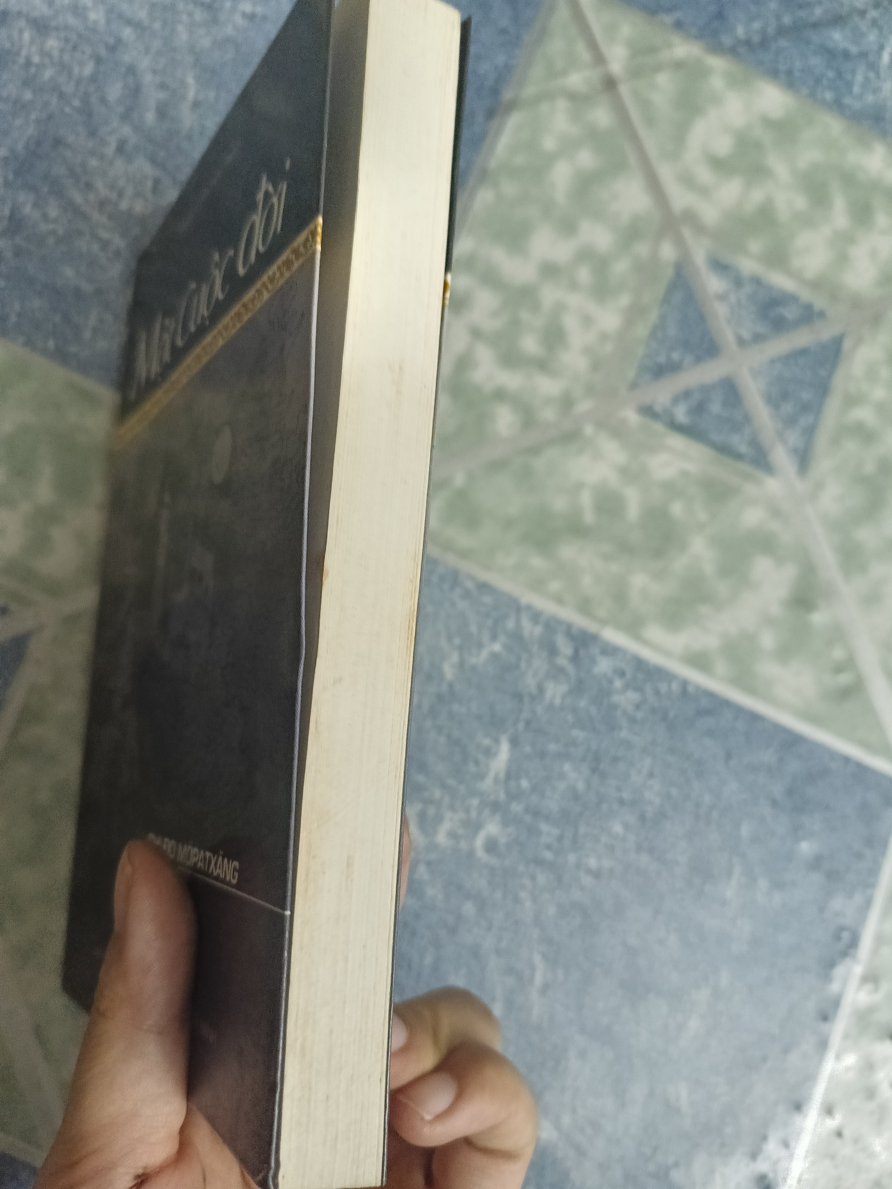 Một cuộc đời - Ghi Đơ Môpatxăng 543453