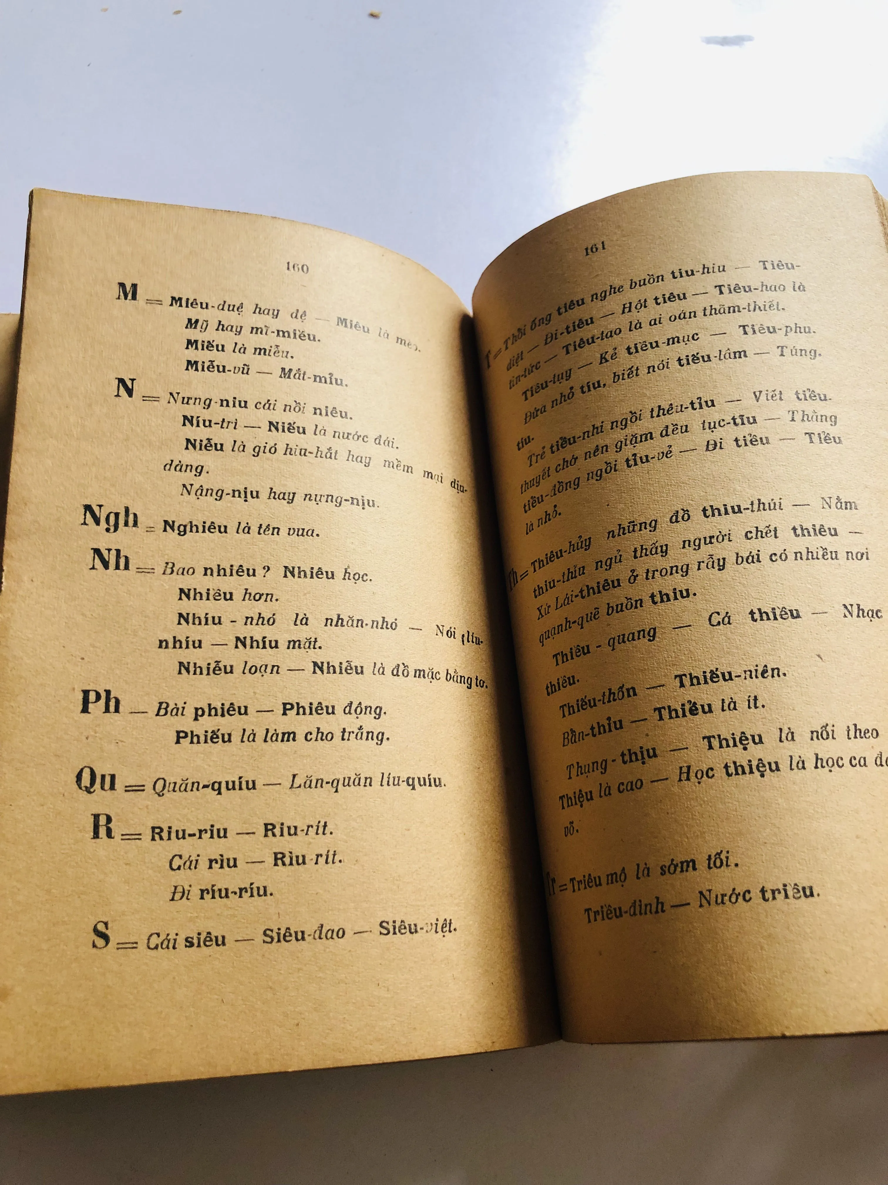 TRÙNG ÂM DỊ TỰ – Phạm Hữu Điển 1949 752808