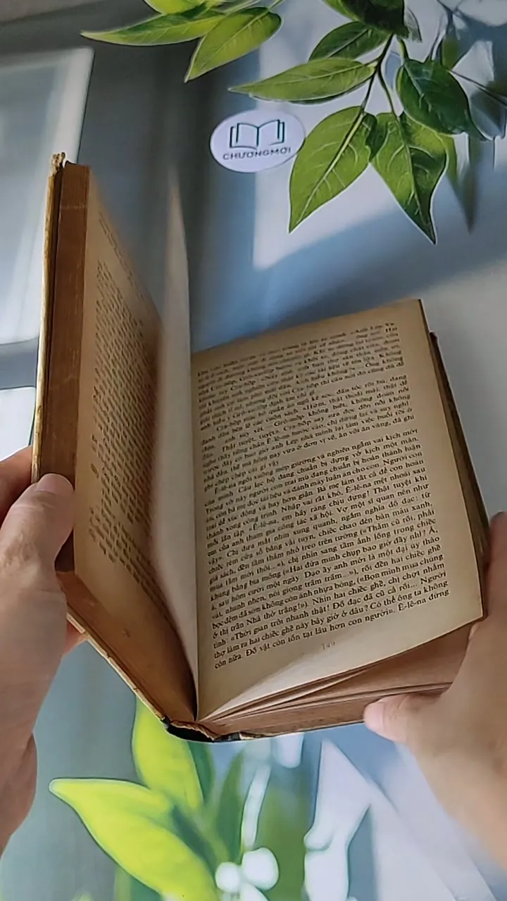 Người Thay Thế Chưa Tới (1986) - Nikolai Kambulev 607724