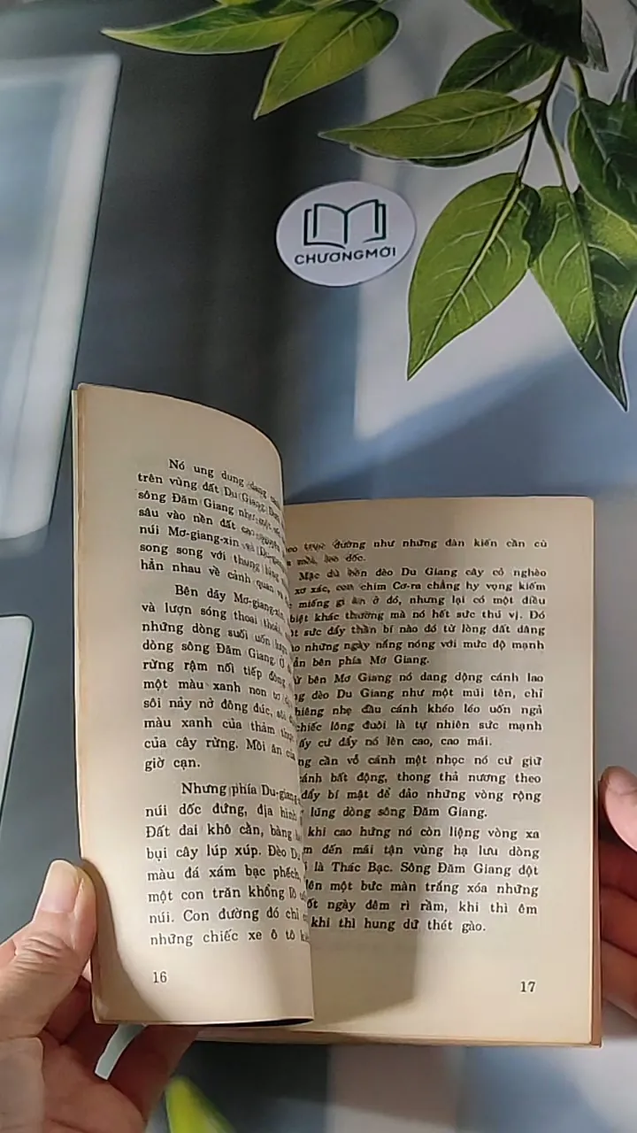 Bí Mật Đèo Ảo Ảnh (1996) - Vũ Đức Thắng 607686