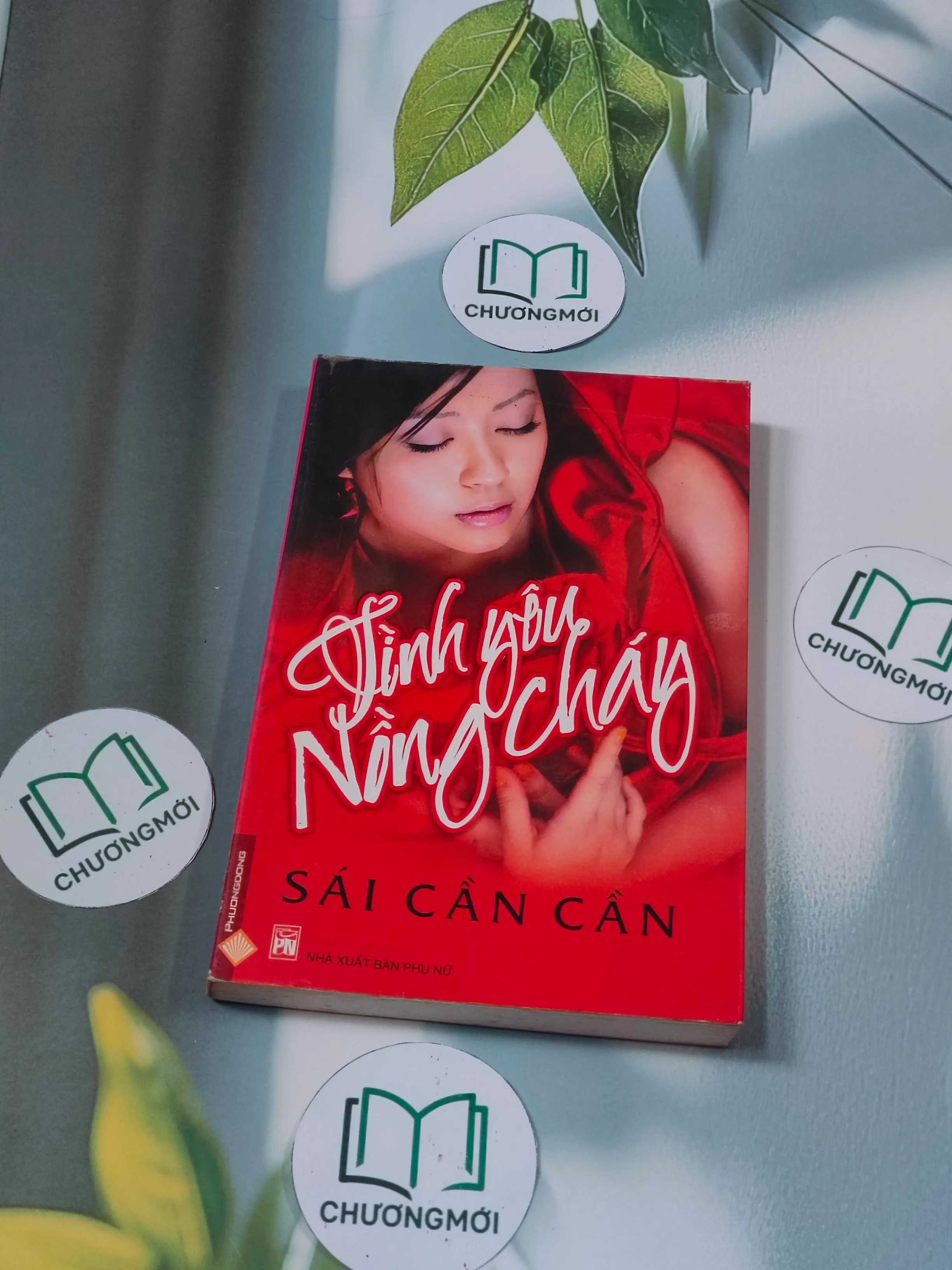 Tình yêu nồng cháy - Sái Cần Cần