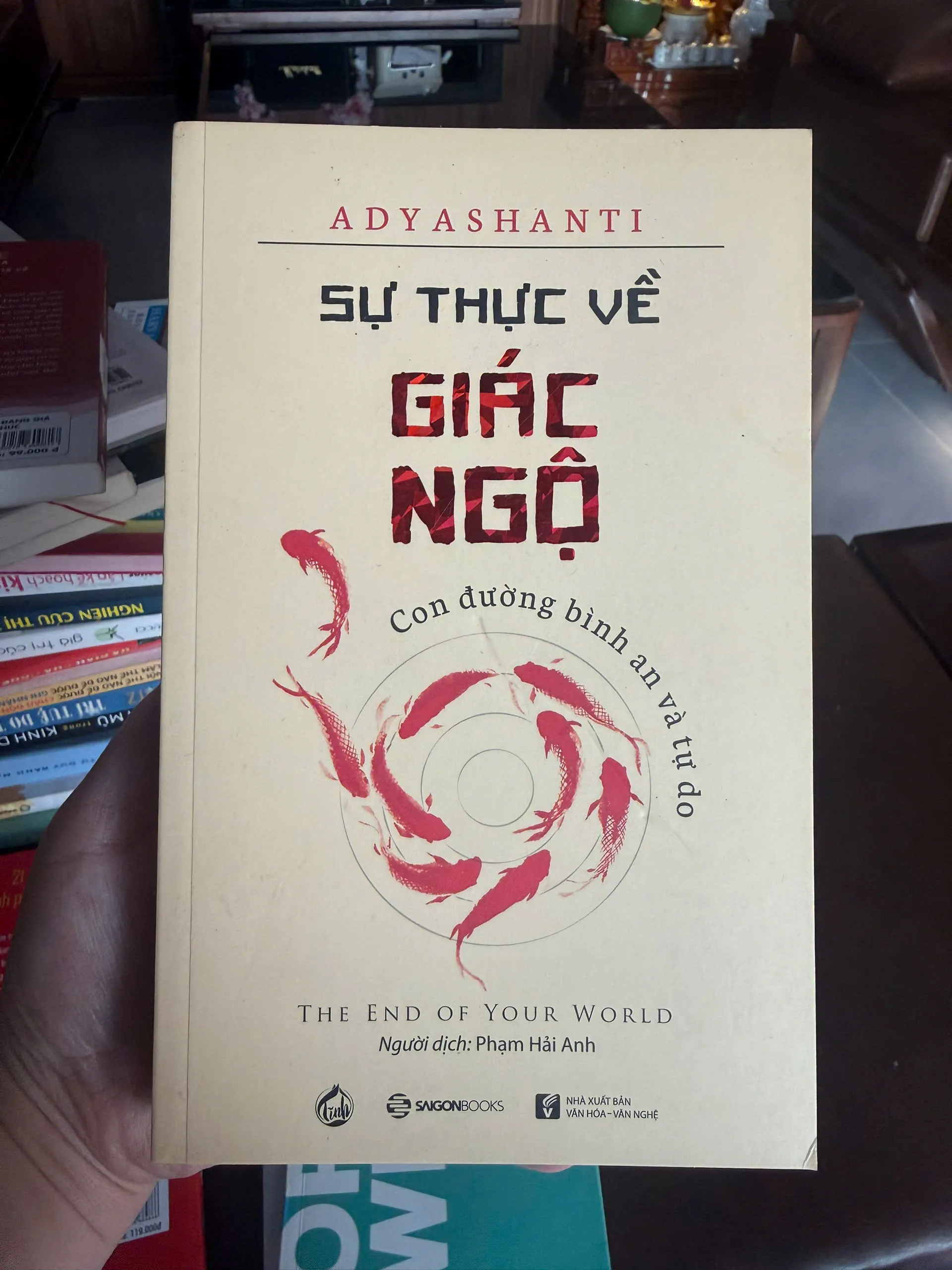 SỰ THỨC VỀ GIÁC NGỘ – Adyashanti | Con đường bình an và tự do (The End of Your World)- K2