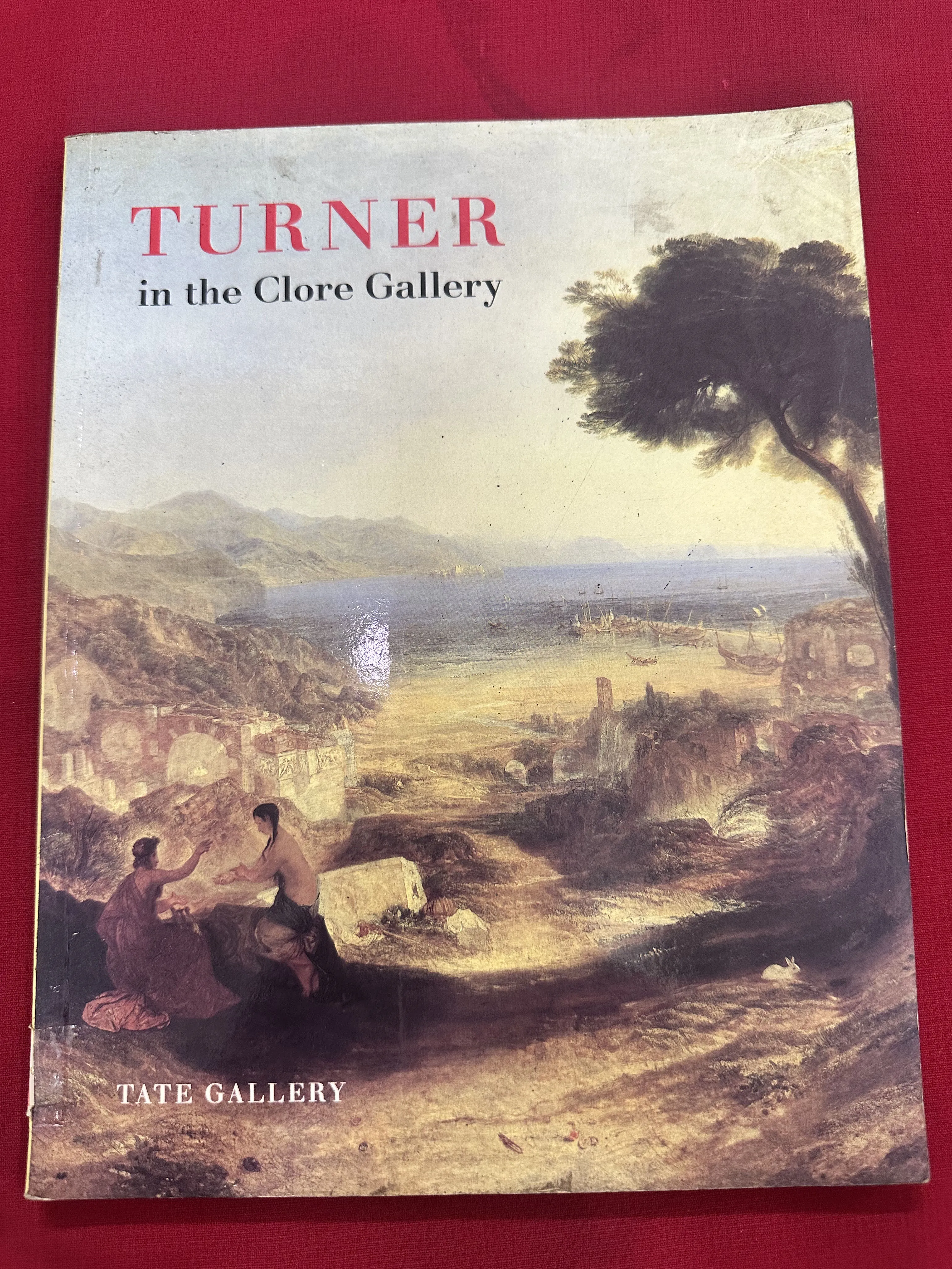 Sách ngoại văn tiếng Anh - Turner in the Clore Gallery