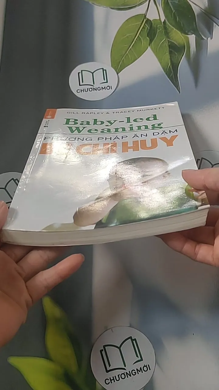 Phương pháp ăn dặm bé chỉ huy 688485