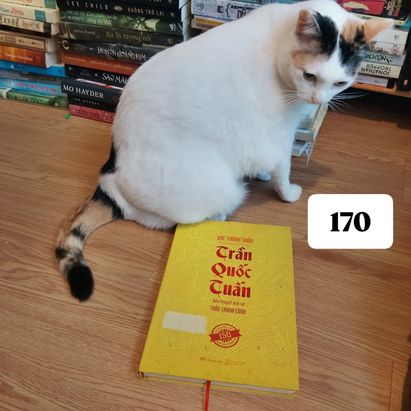 BÌA CỨNG - Trần Quốc Tuấn (Tiểu thuyết lịch sử Trần Thanh Cảnh) - Bản đặc biệt
