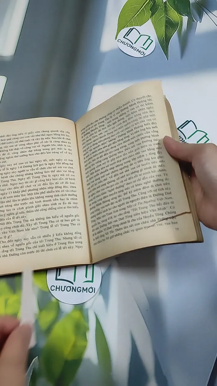 [XƯA] Phong Tục Việt Nam (Quan - Hôn - Tang - Tế) (1999) - Trương Đình Tín 776158