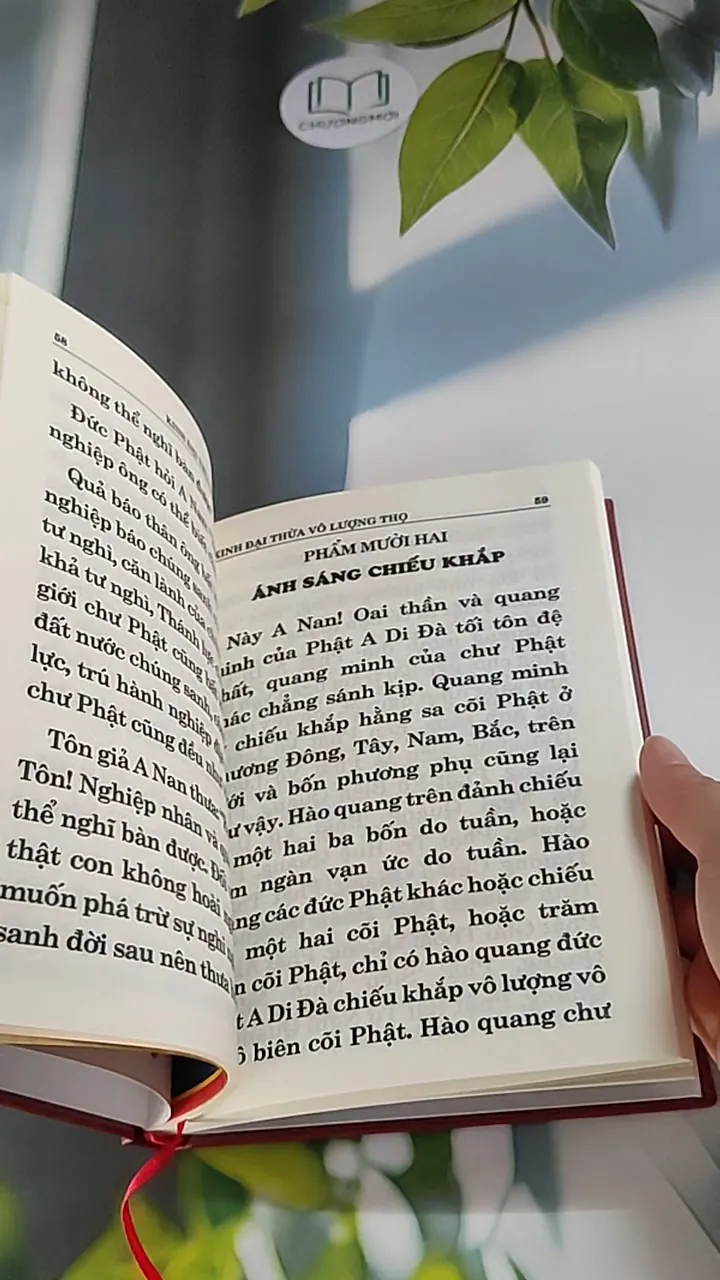 Phật thuyết Đại thừa Vô lượng Thọ Trang Nghiêm Thanh Tịnh Bình Đẳng Giác Kinh - Ngài Hạ L 607734