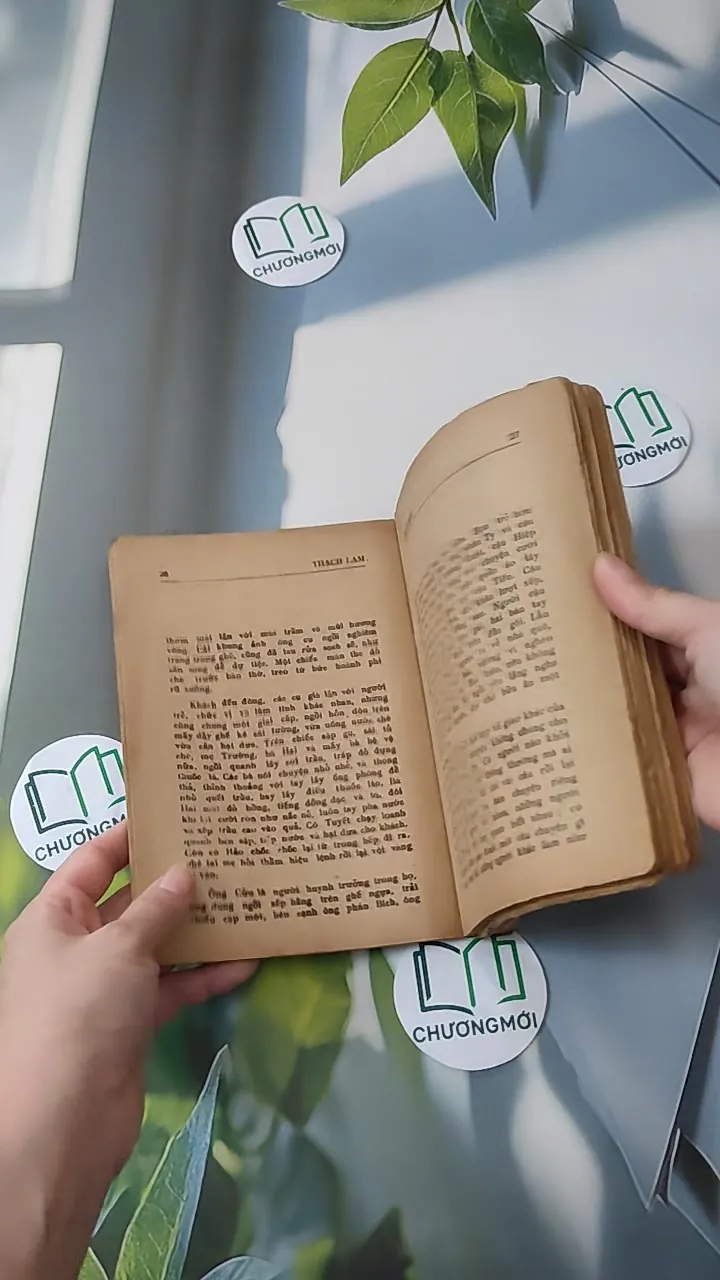 [XƯA] Ngày Mới (1988) - Thạch Lam 997579