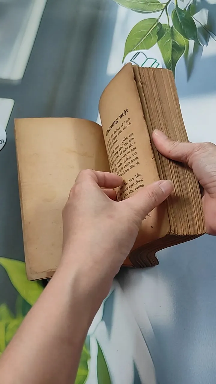 [XƯA] Quãng Đời Xưa In Bóng (1990) - Dũng Hà 776083