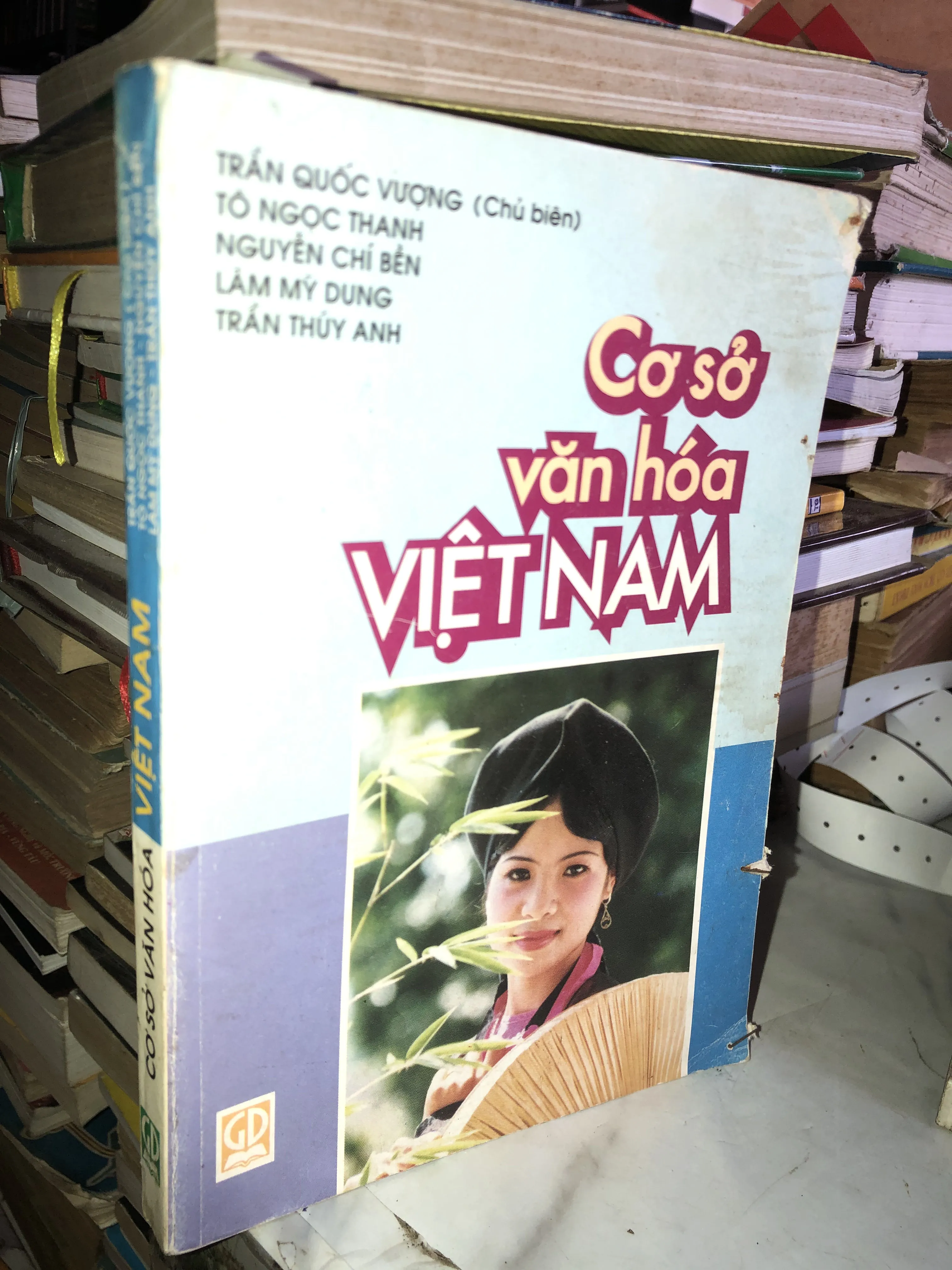 Cơ sở văn hoá Việt Nam - Trần Quốc Vượng chủ biên
