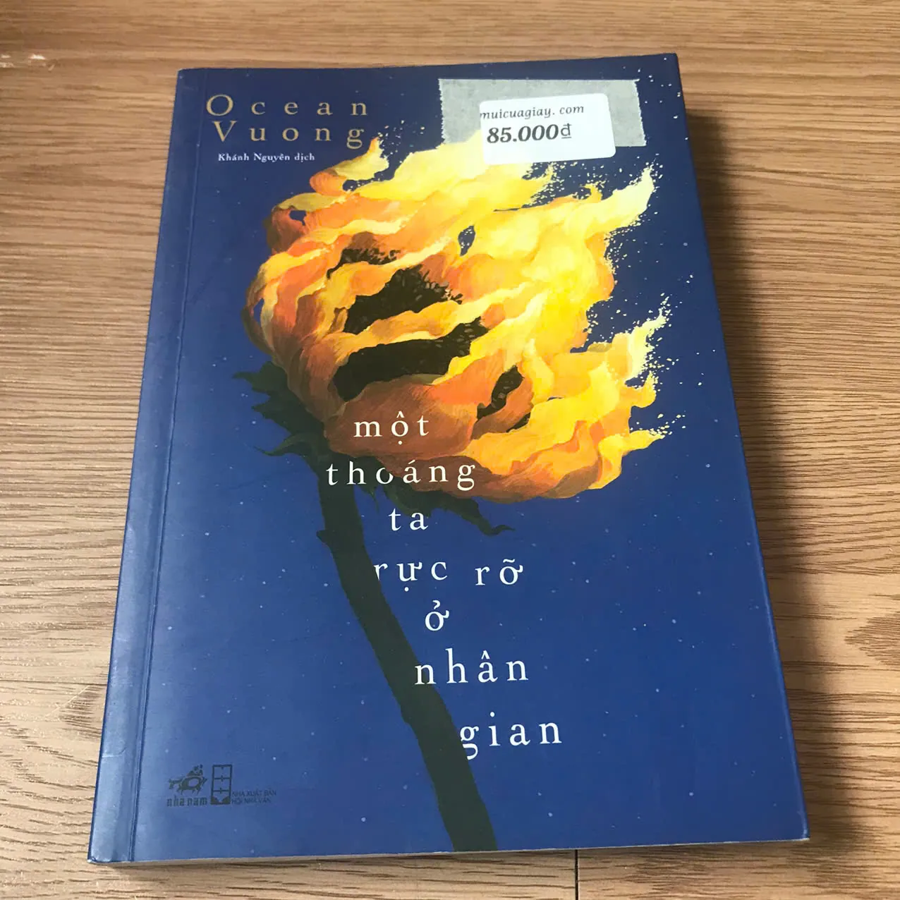 Một thoáng ta rực rỡ ở nhân gian - Ocean Vương