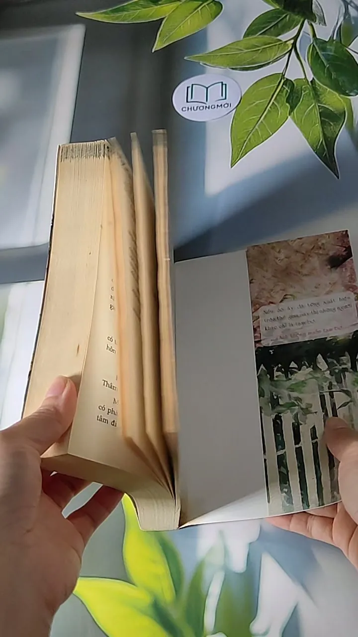 Bên Nhau Trọn Đời - Cố Mạn 607716