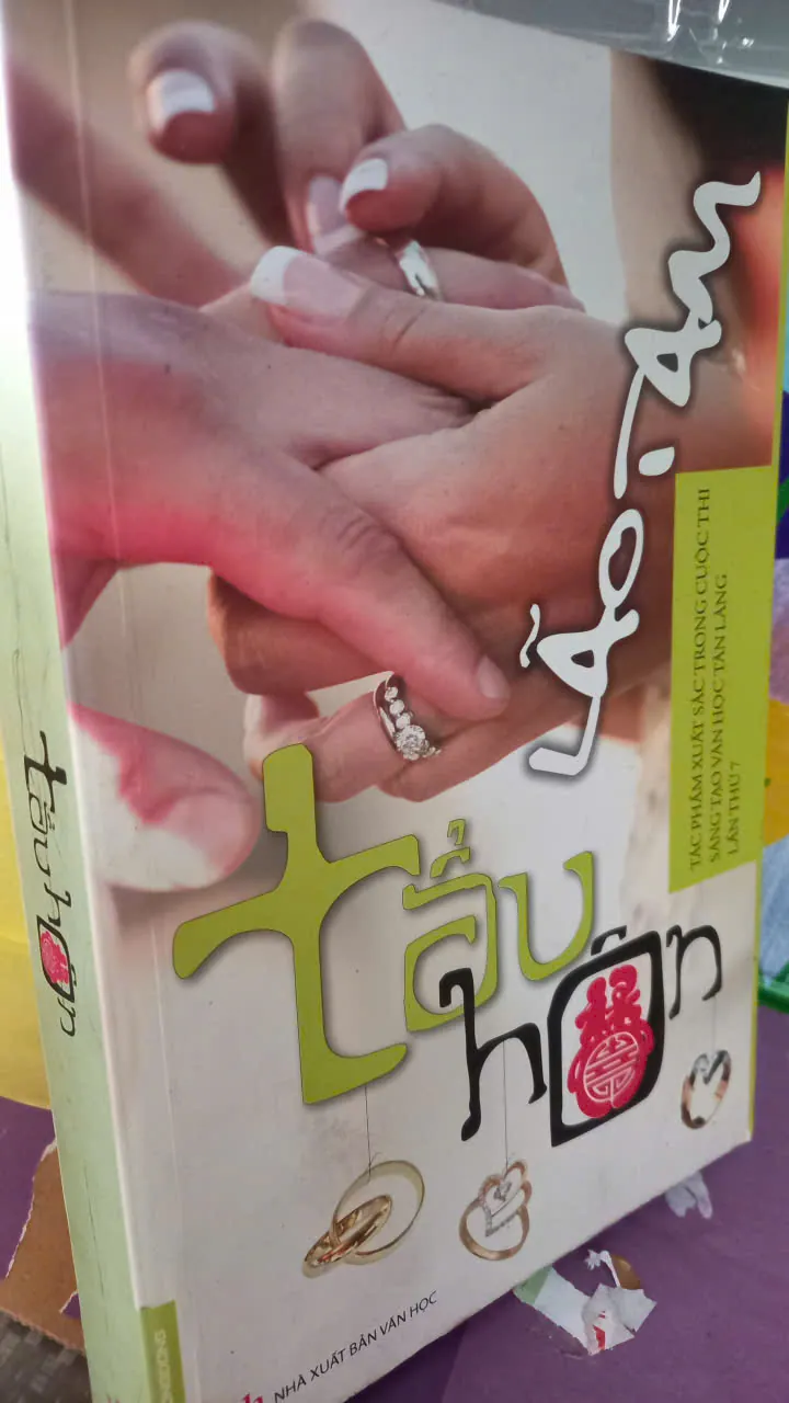 tẩu hôn - tiểu thuyết