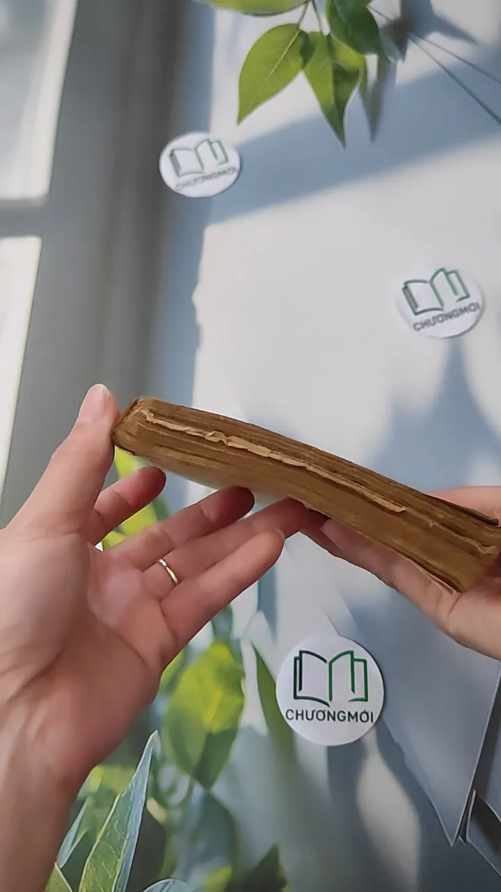 [XƯA] Ngày Mới (1988) - Thạch Lam 997579