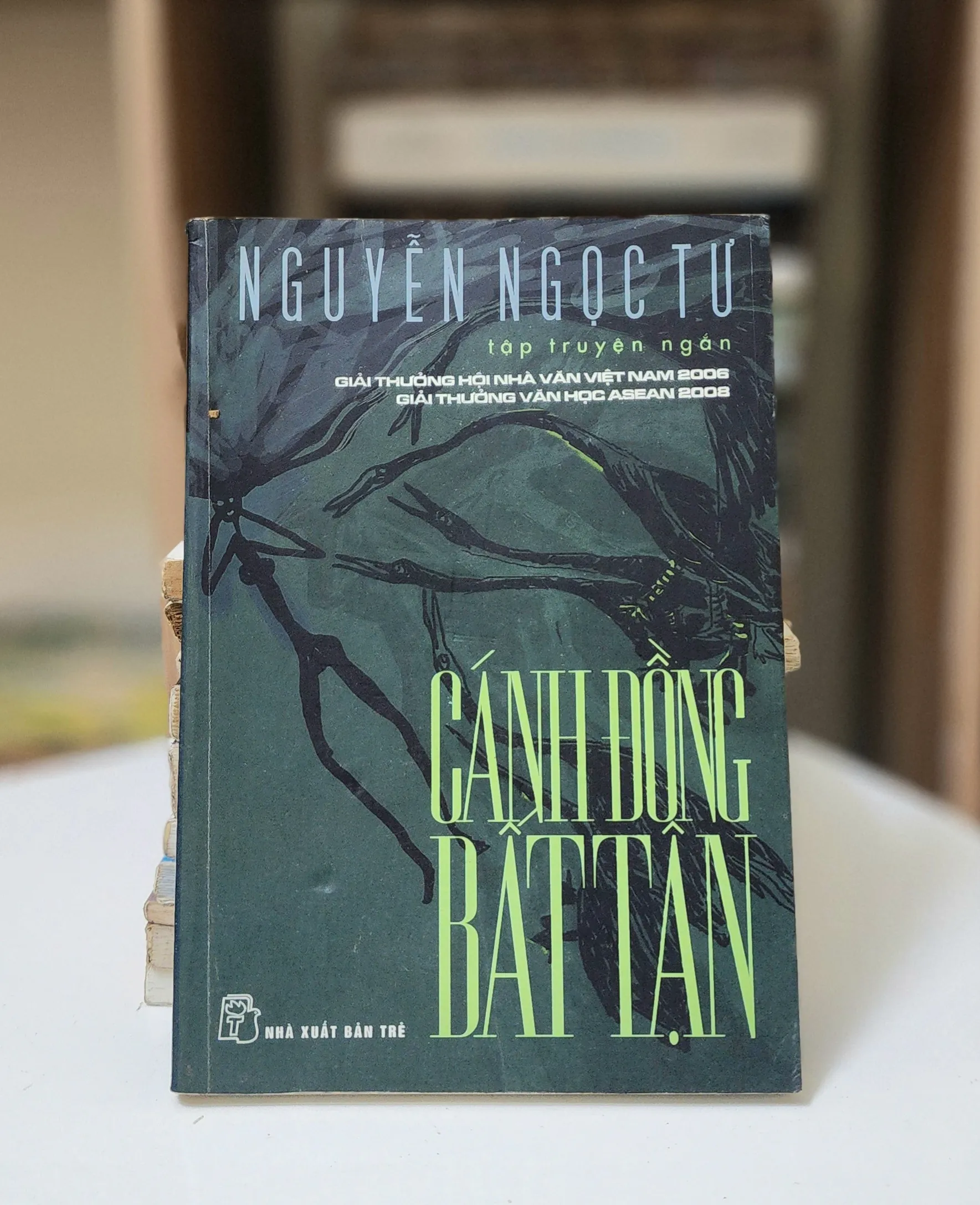 CÁNH ĐỒNG BẤT TẬN - Nguyễn Ngọc Tư